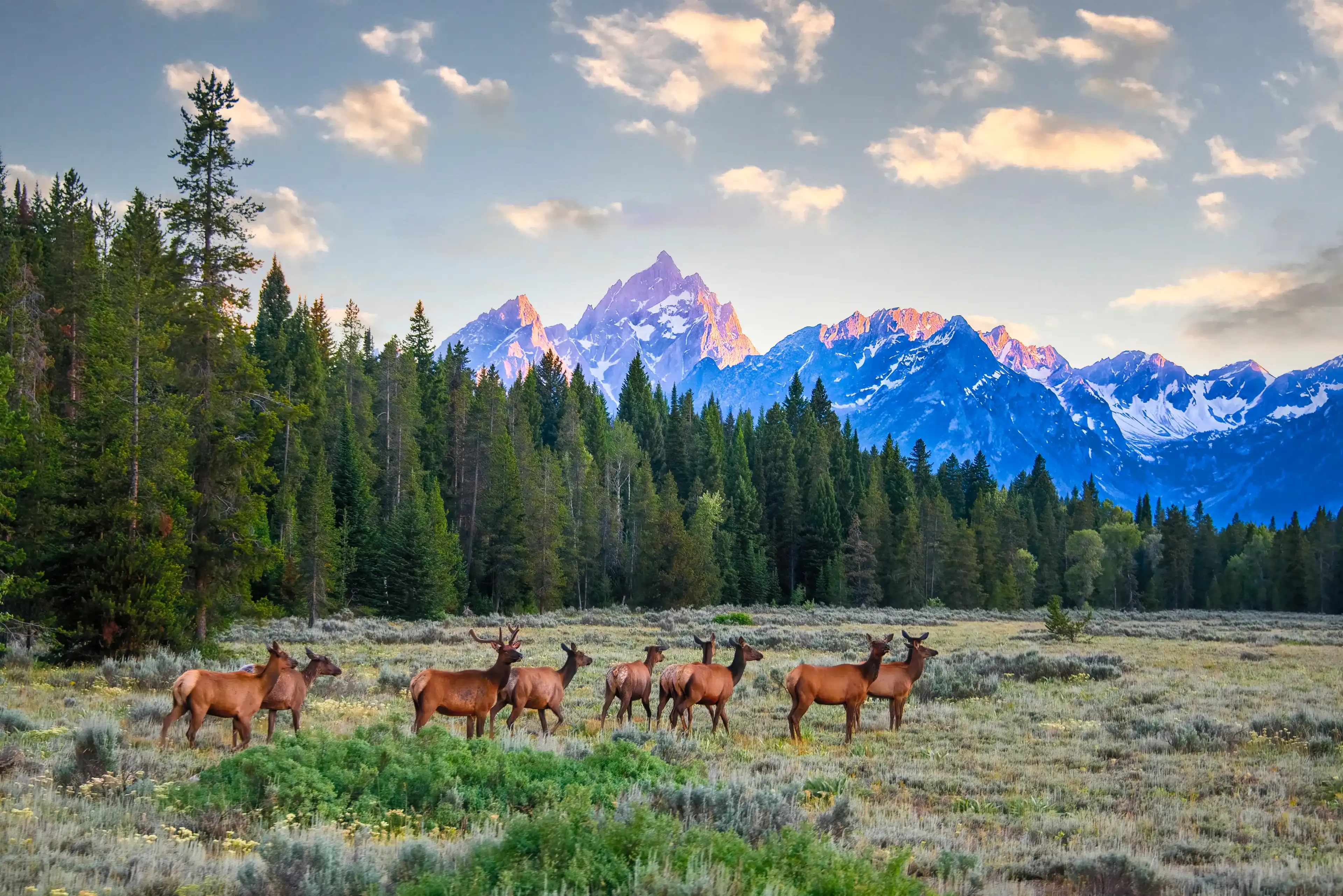 Wyoming hotels. Best hotels in Wyoming, United States Wyoming hotels. Best hotels in Wyoming, United States