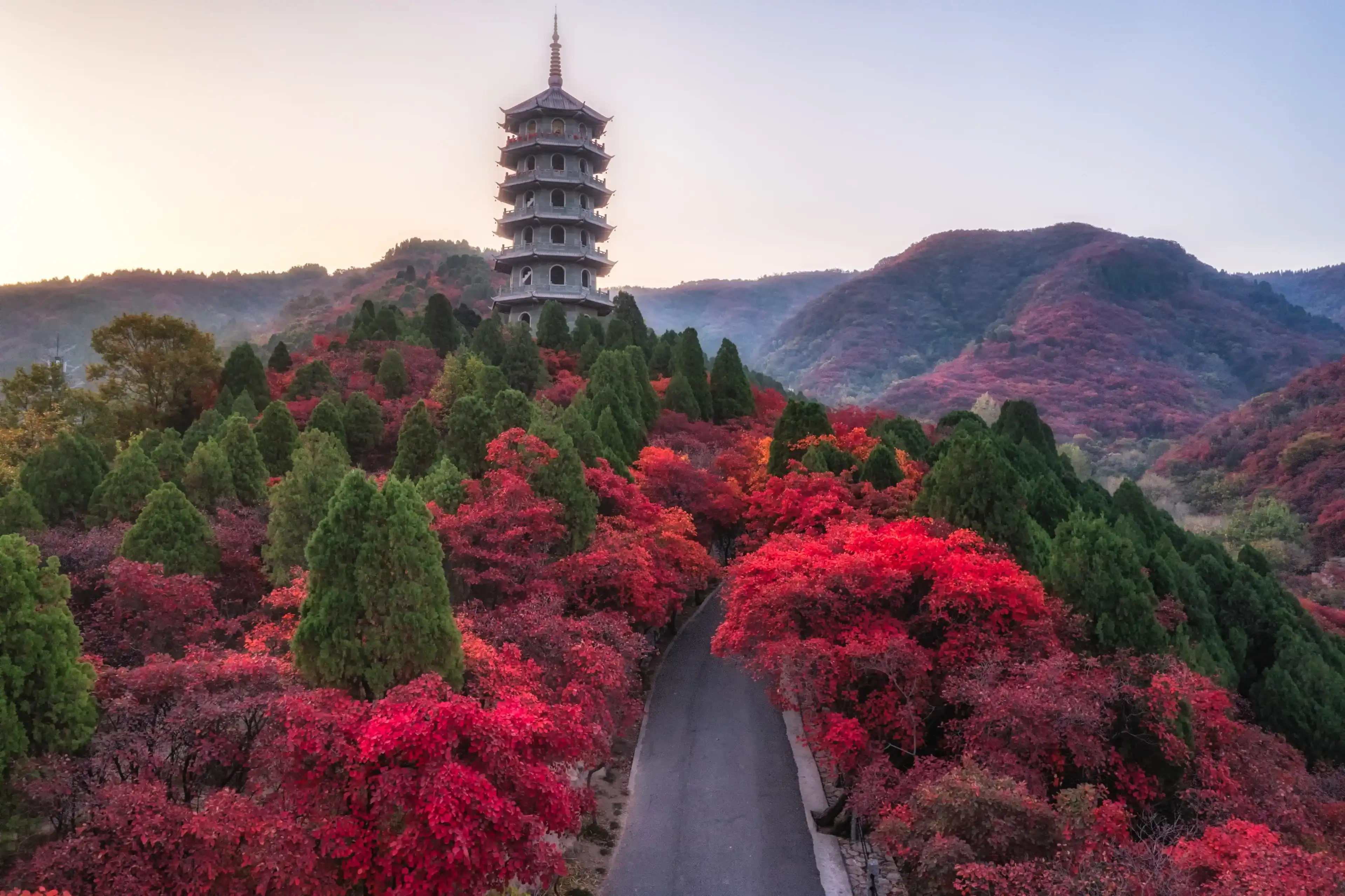 Autumn cotinus in Hongye Valley Scenic Area, Jinan, Shandong, China