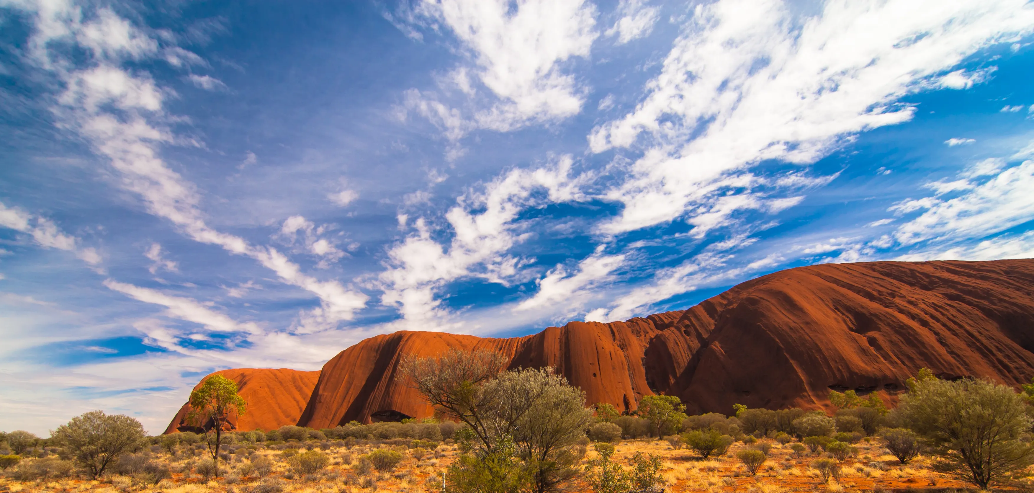 Uluru, Northern Territory / Australia - April 06 2009: views of Uluru in distance at horizon with blue sky and clouds in background and grass and bushes in foreground