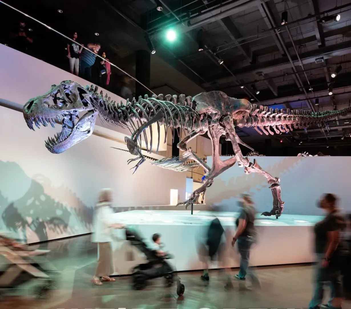 Houston Museum of Natural Science Instagram Houston Museum of Natural Science Instagram