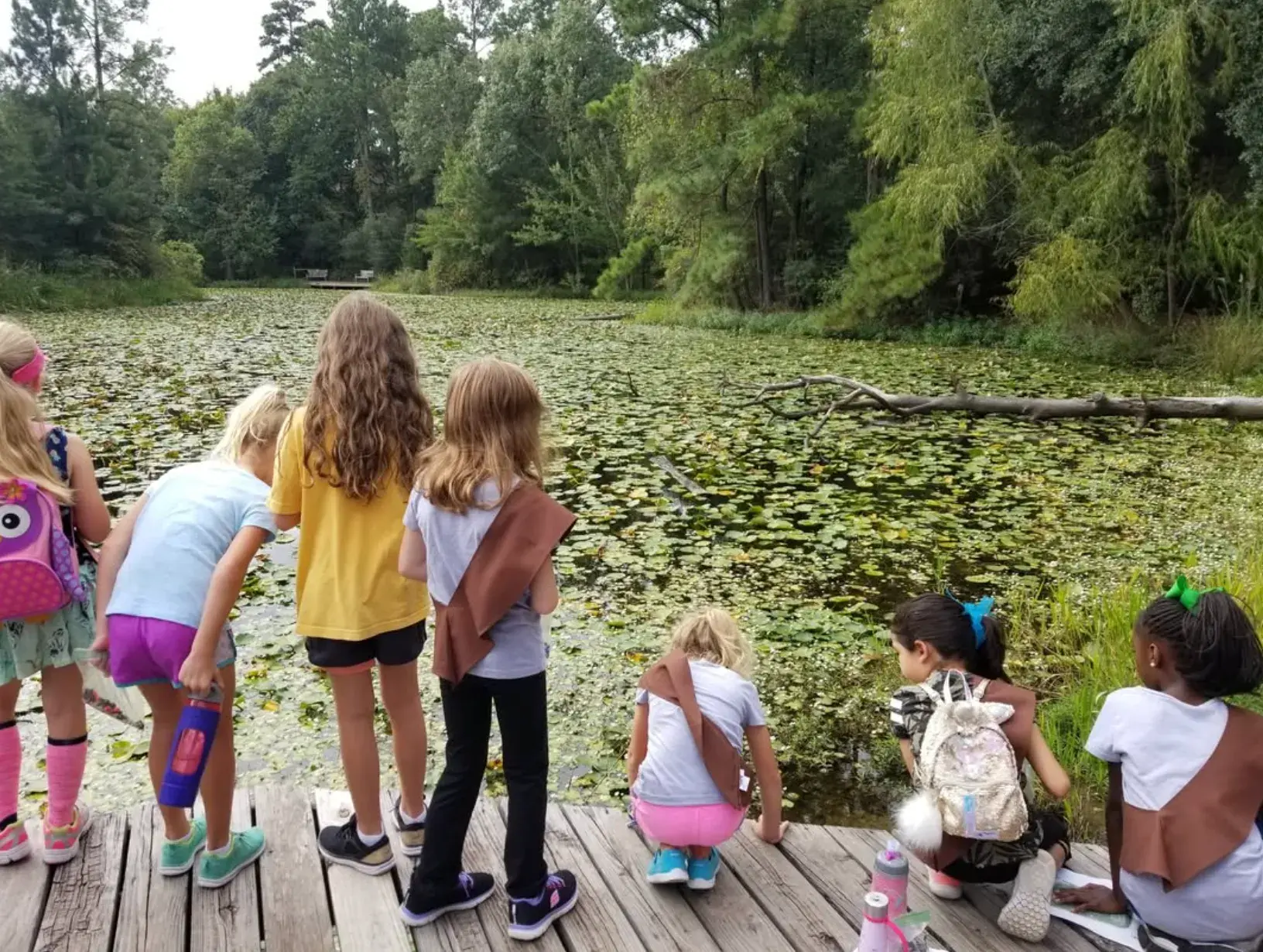 Houston Arboretum & Nature Center Instagram Houston Arboretum & Nature Center Instagram