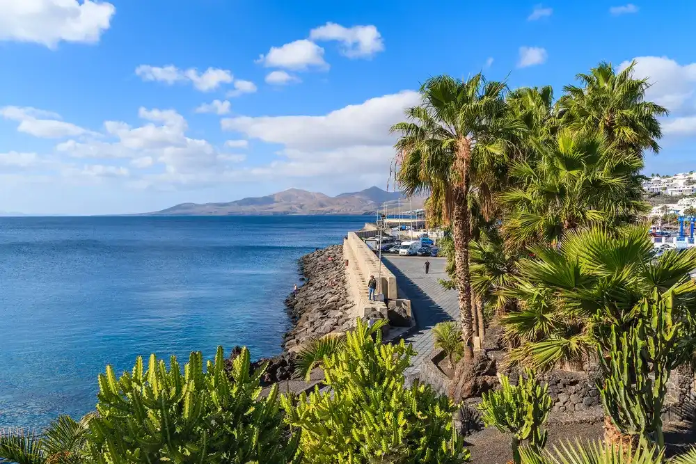 Palm trees on promenade along ocean coast in Puerto del Carmen holiday town, Lanzarote, Canary Islands, Spain