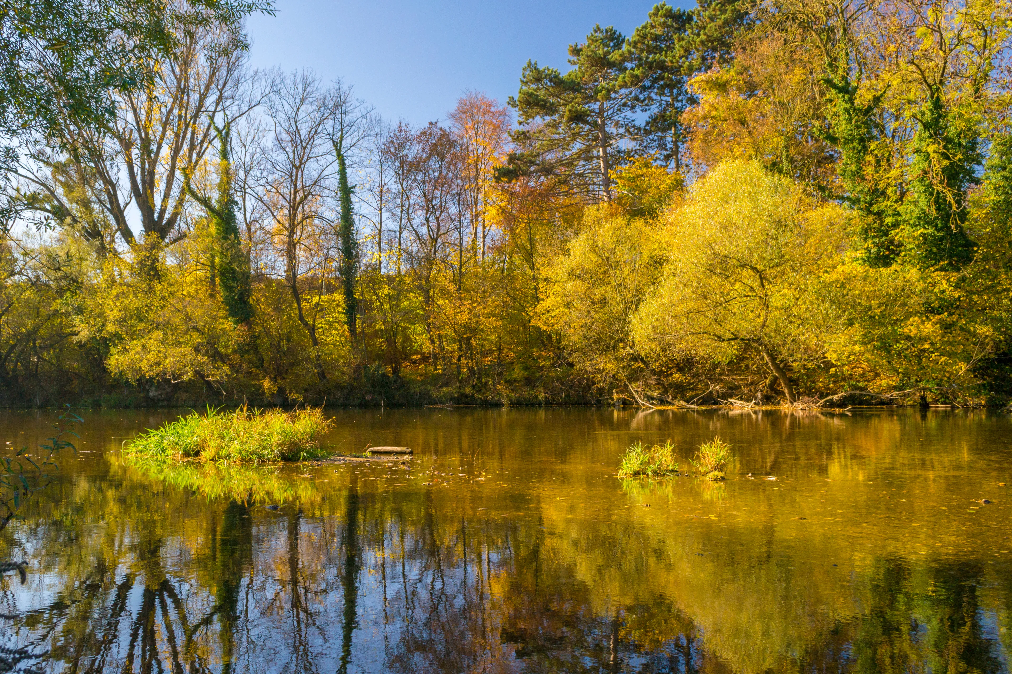 Best Wieselburg hotels. Cheap hotels in Wieselburg, Austria