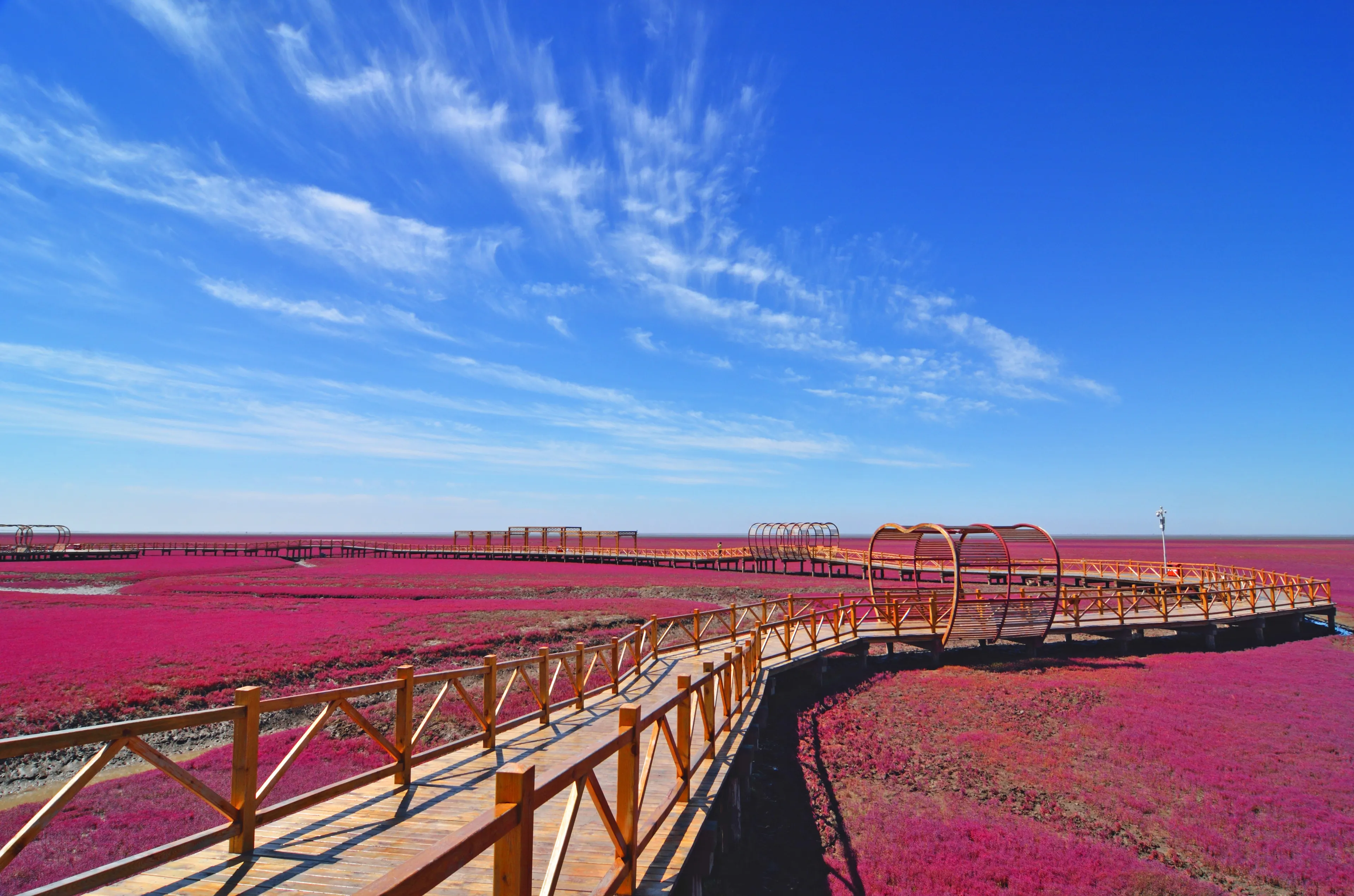 Panjin red beach, Liaoning, China