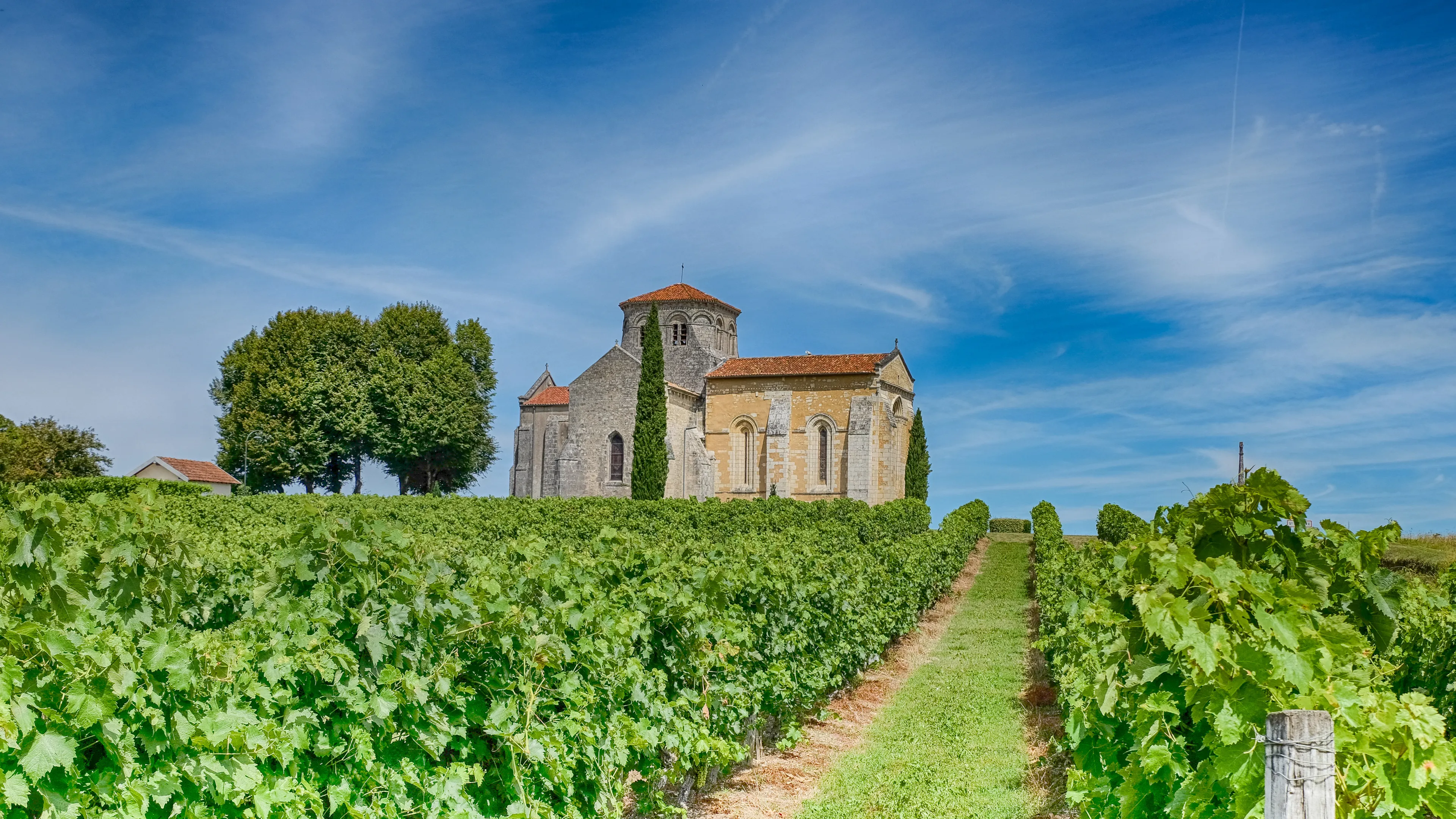old chapel in the vineyards of cognac