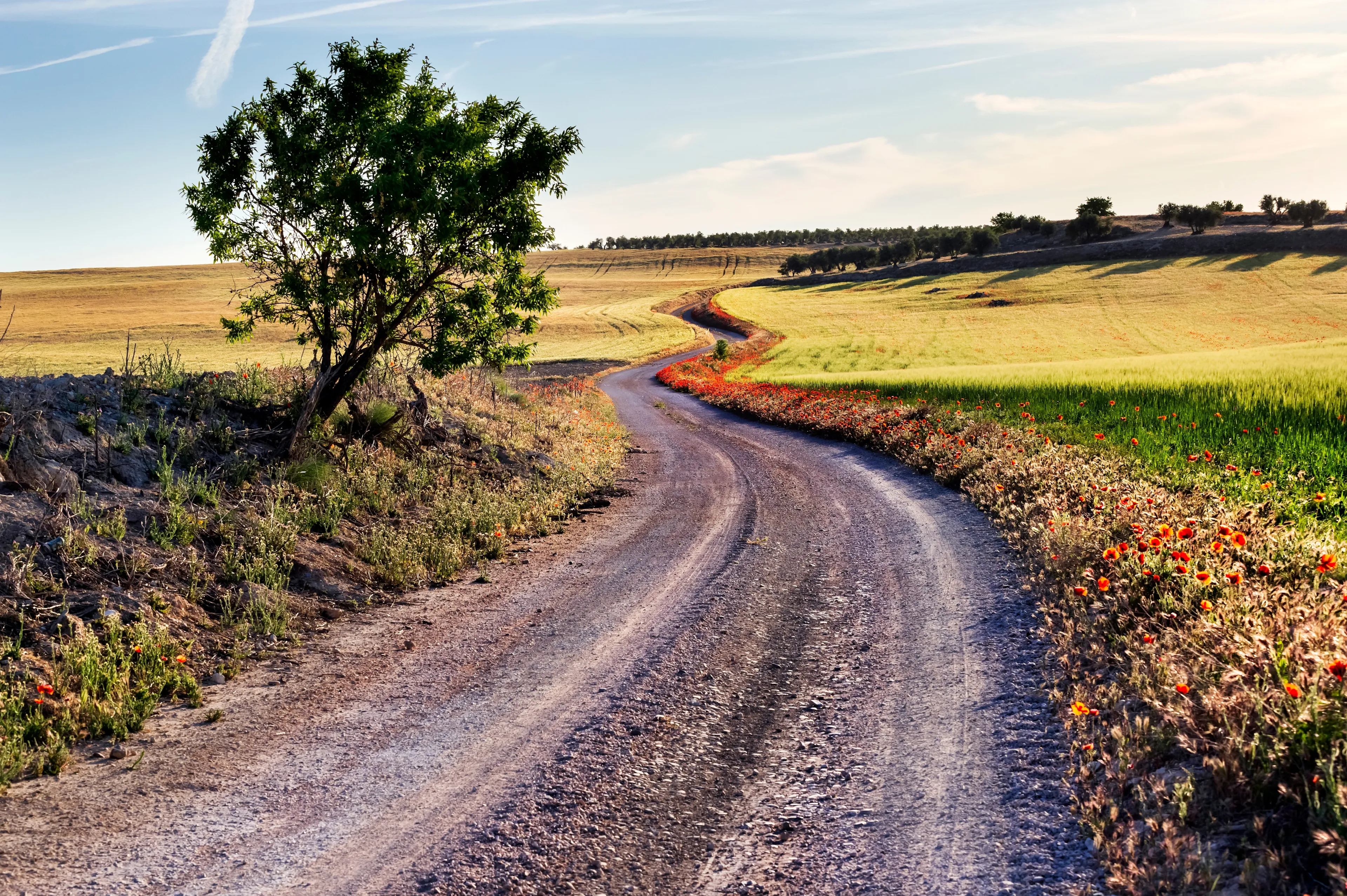 Best Pinto hotels. Cheap hotels in Pinto, Spain