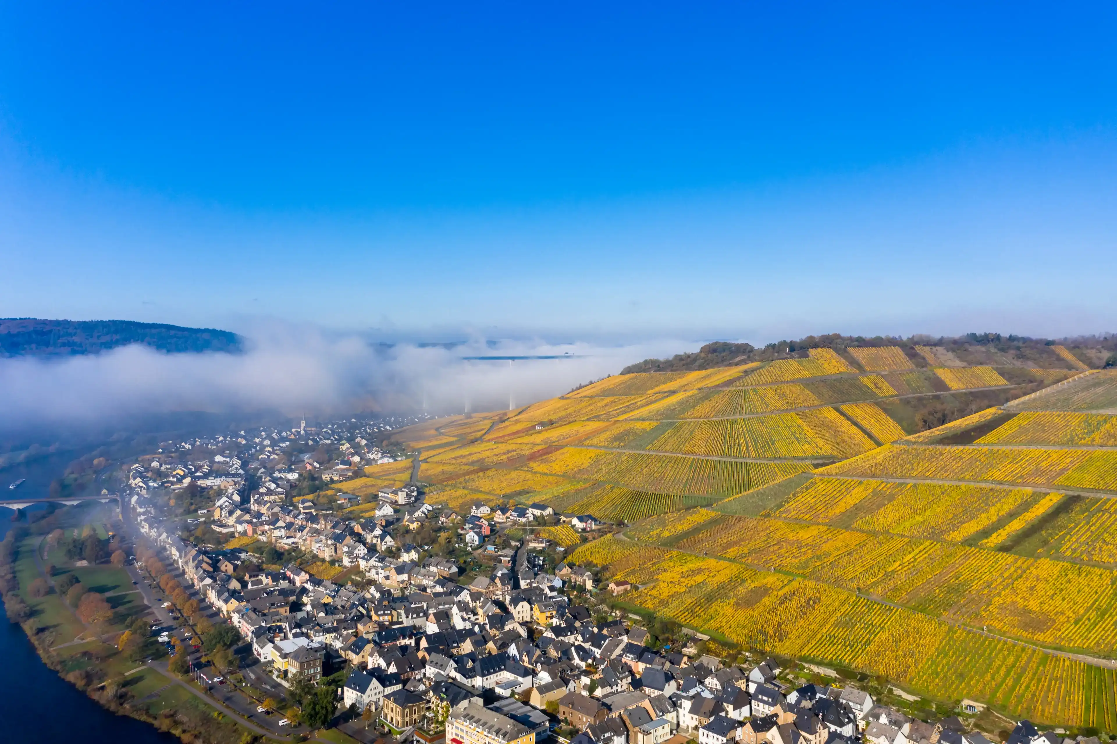 Best Zeltingen-Rachtig hotels. Cheap hotels in Zeltingen-Rachtig, Germany Best Zeltingen-Rachtig hotels. Cheap hotels in Zeltingen-Rachtig, Germany