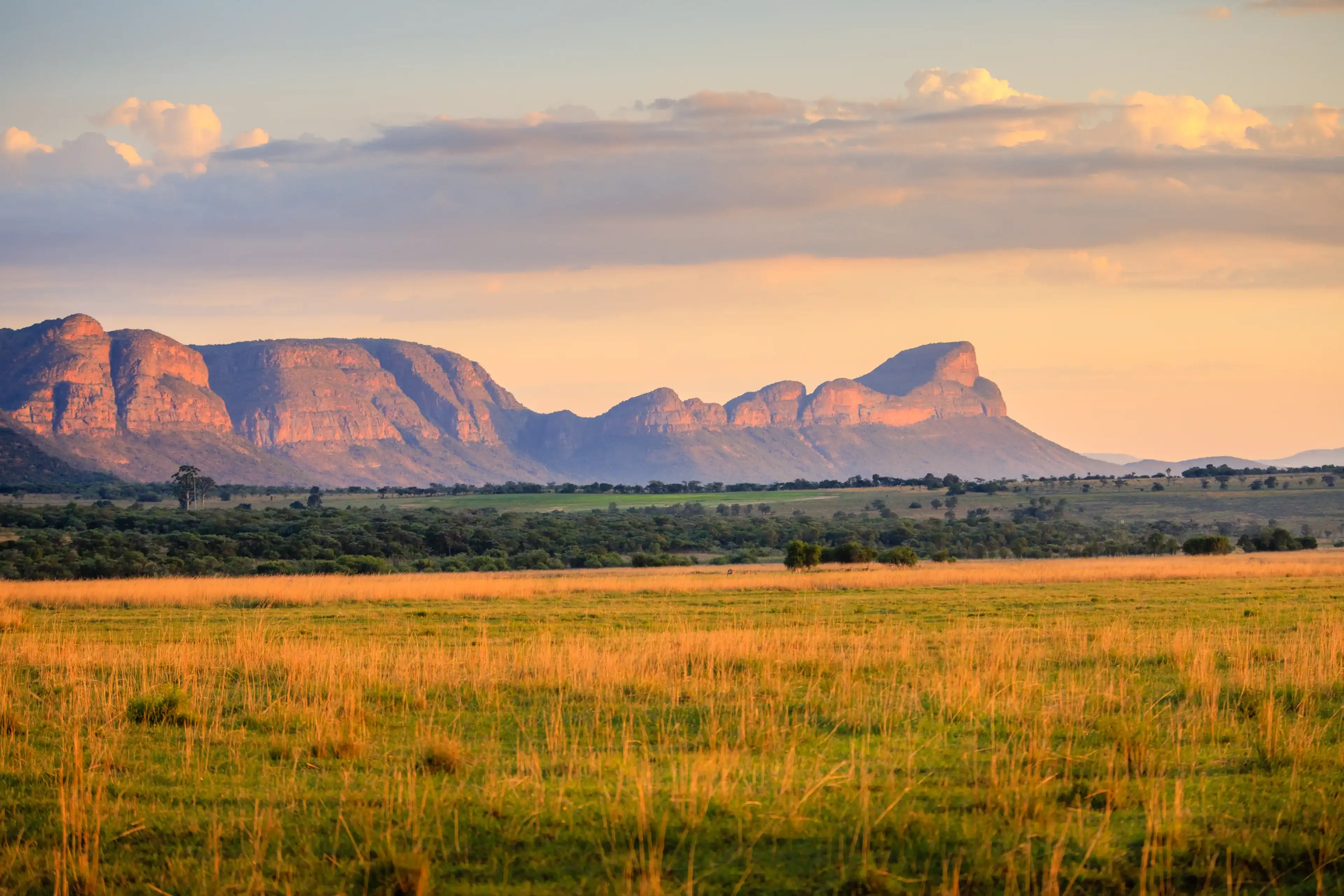 Sunrise over the waterberg mountains, limpopo province, South Africa