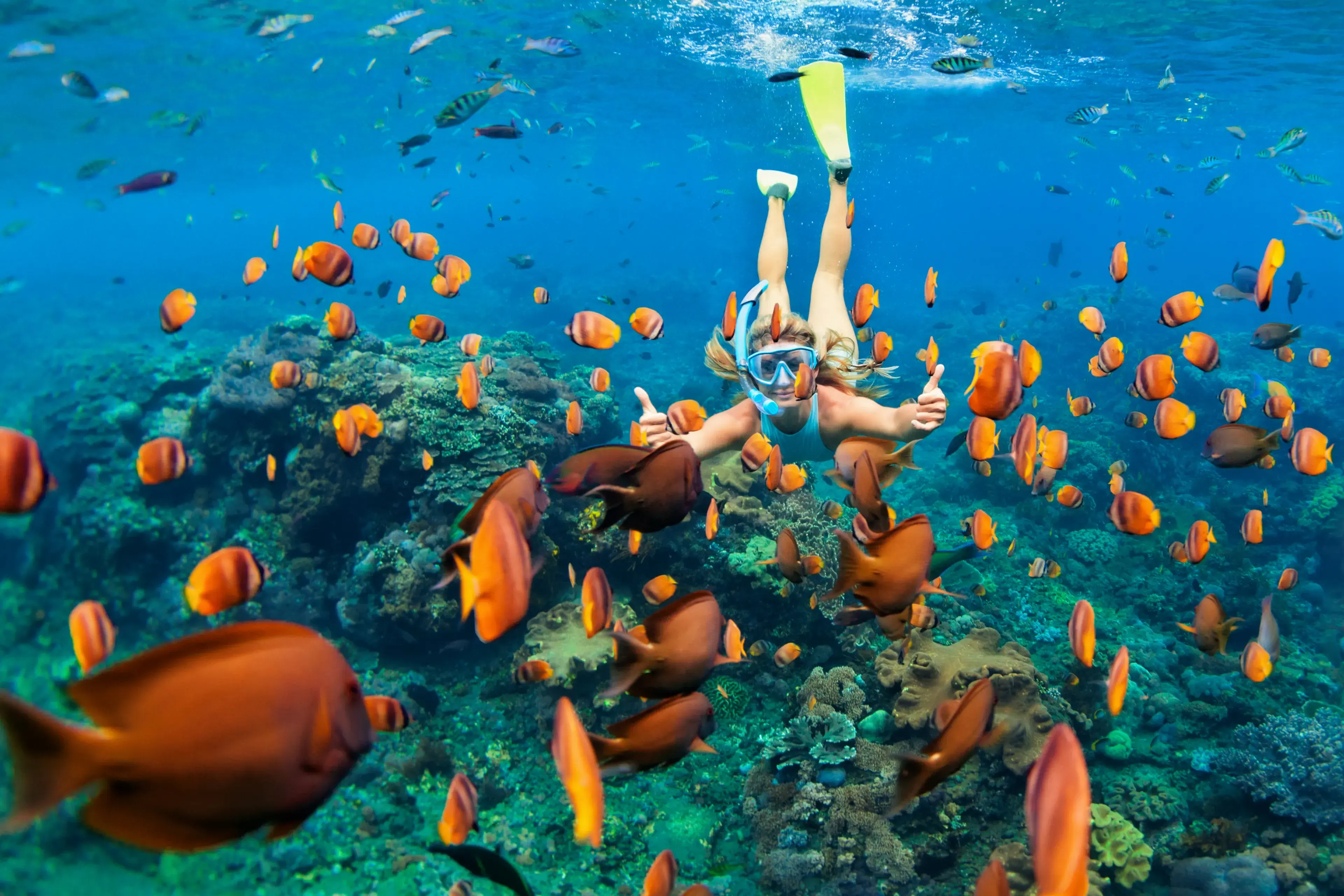 Happy family - girl in snorkeling mask dive underwater with tropical fishes in coral reef sea pool. Travel lifestyle, water sport outdoor adventure, swimming lessons on summer beach holiday with child Happy family - girl in snorkeling mask dive underwater with tropical fishes in coral reef sea pool. Travel lifestyle, water sport outdoor adventure, swimming lessons on summer beach holiday with child