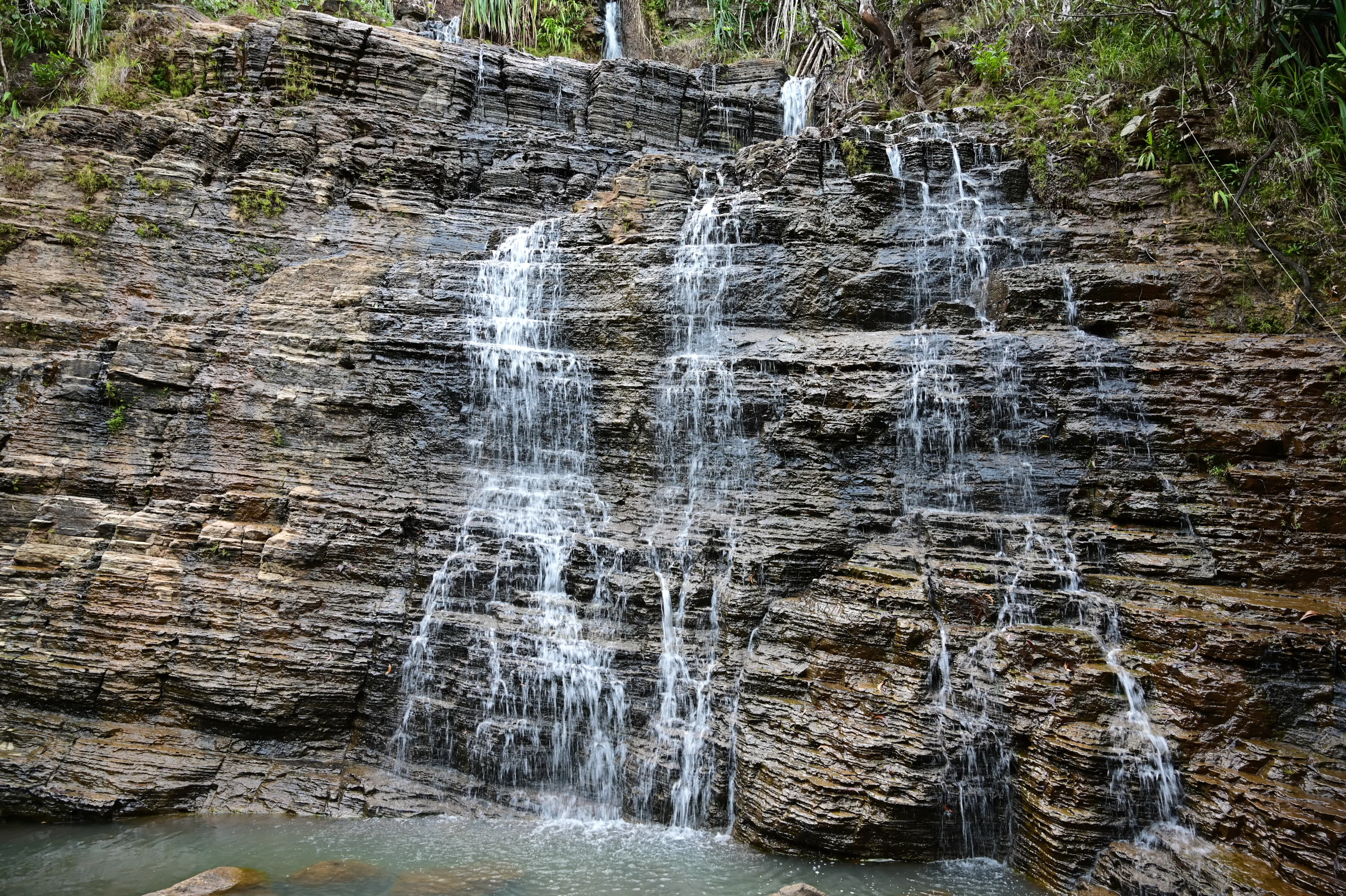Tarzan falls in the jungle of Guam.