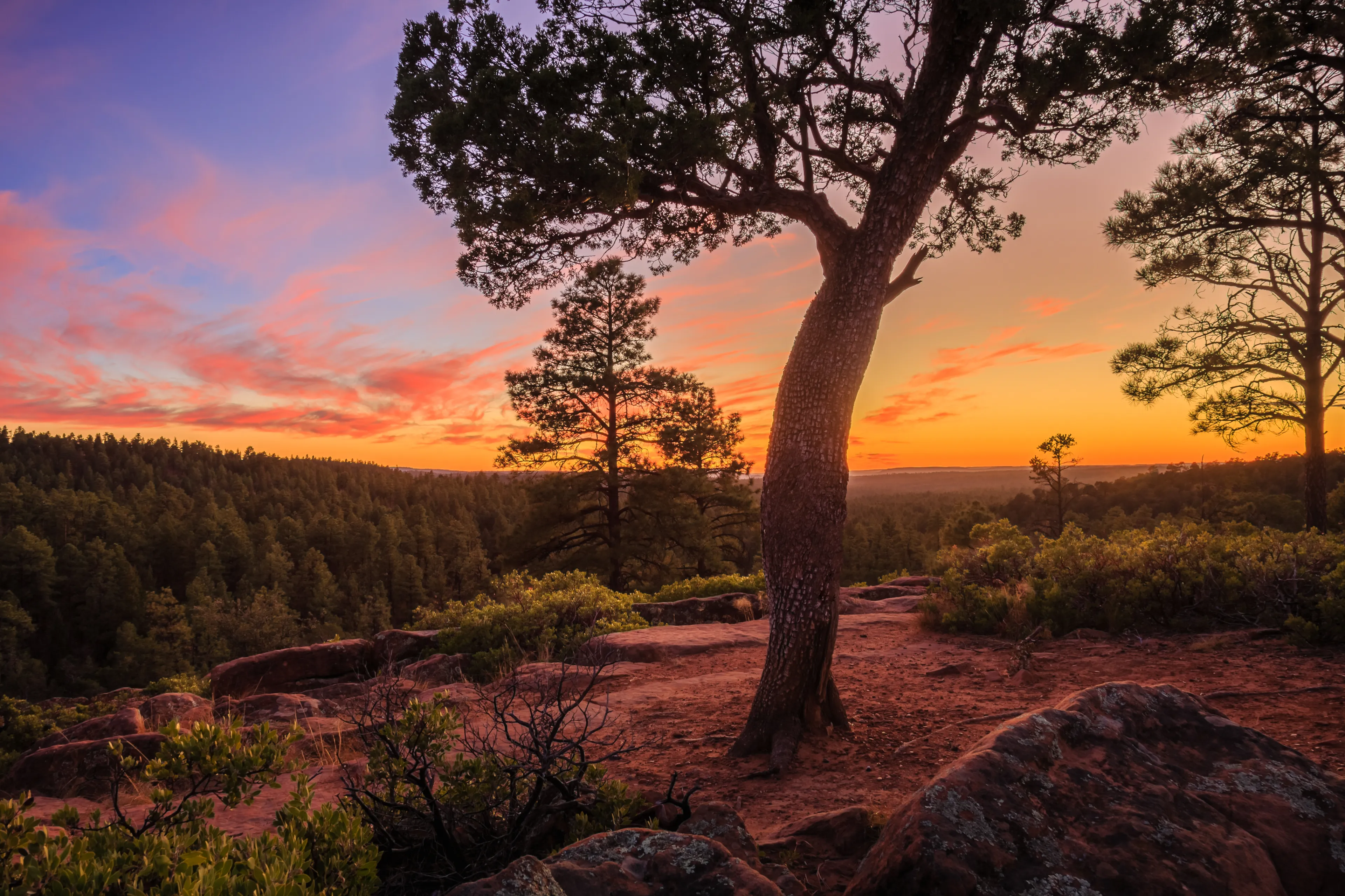 Sunset along the Mogollon Rim near Pinetop-Lakeside in the White Mountains of Arizona.
