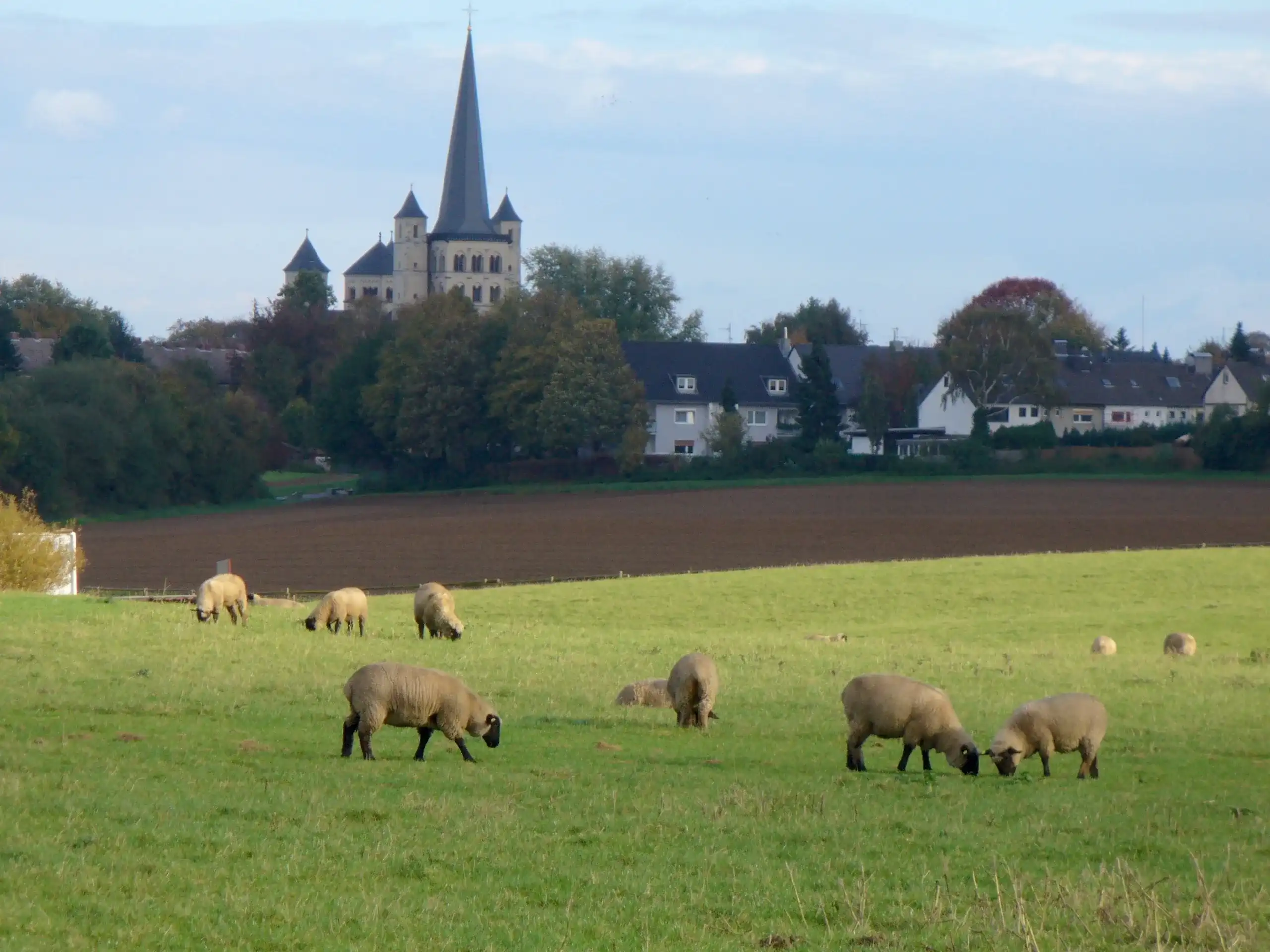 Best Pulheim hotels. Cheap hotels in Pulheim, Germany Best Pulheim hotels. Cheap hotels in Pulheim, Germany