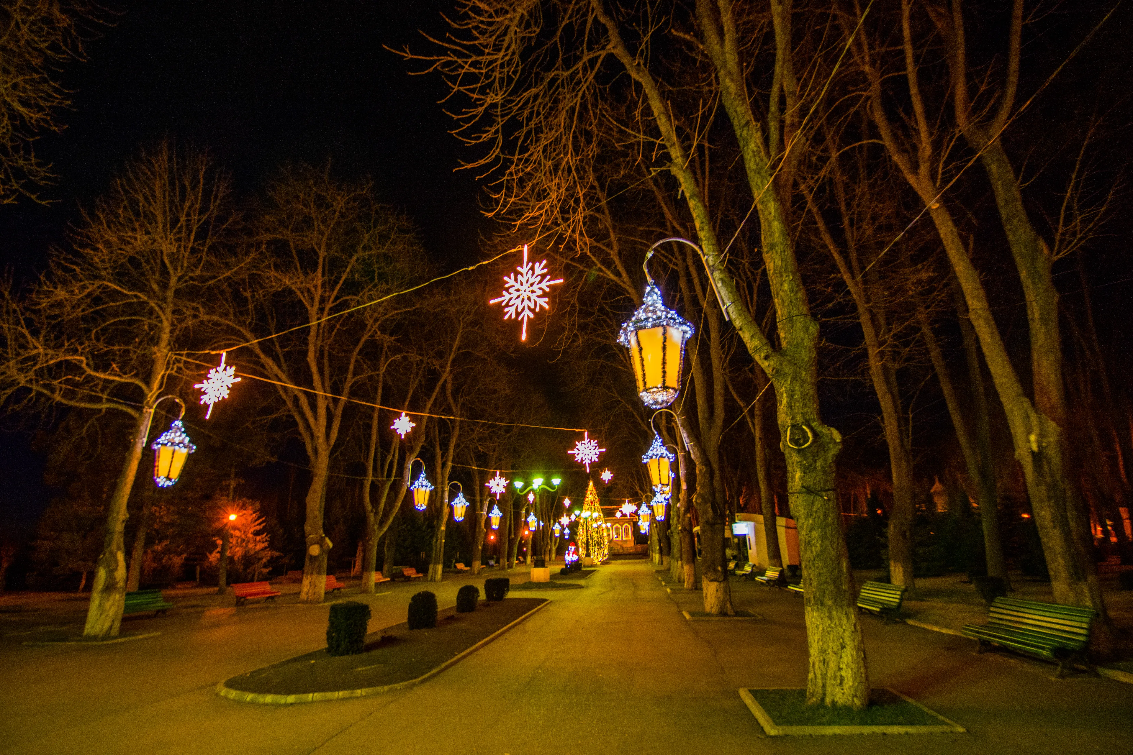 Vaslui hotels. Best hotels in Vaslui, România