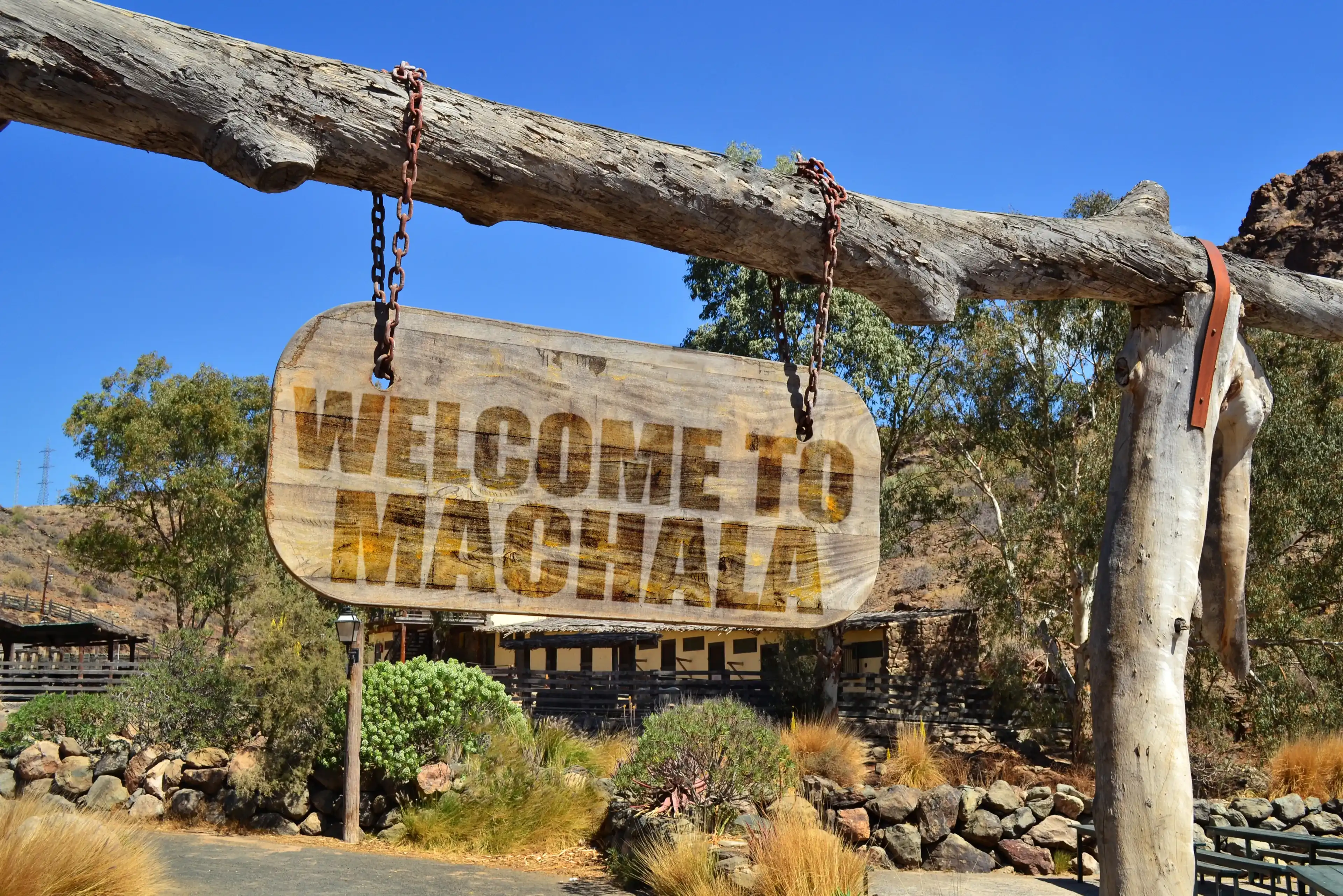 old vintage wood signboard with text " welcome to Machala" hanging on a branch