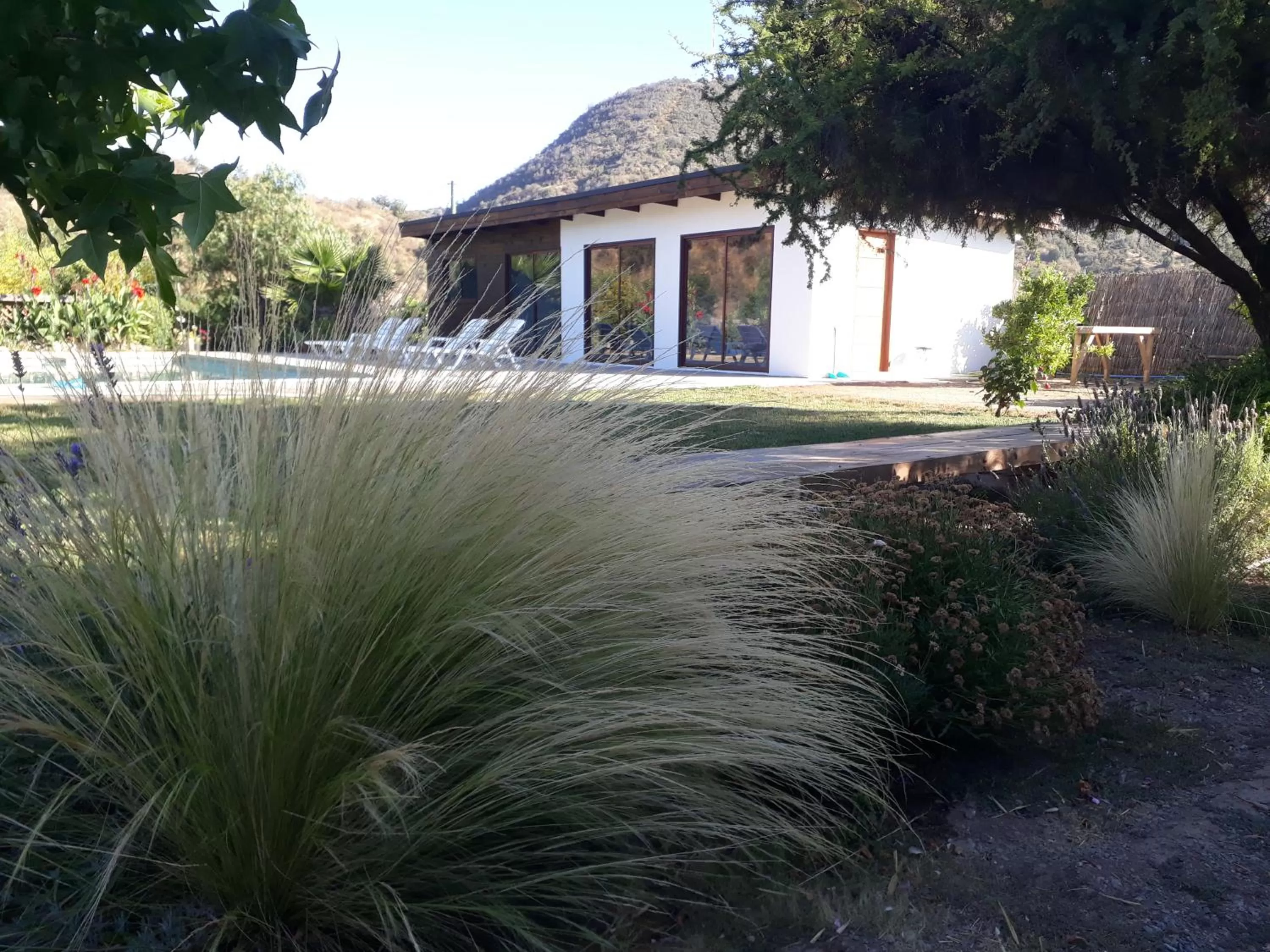 Property building in Callihue Lodge