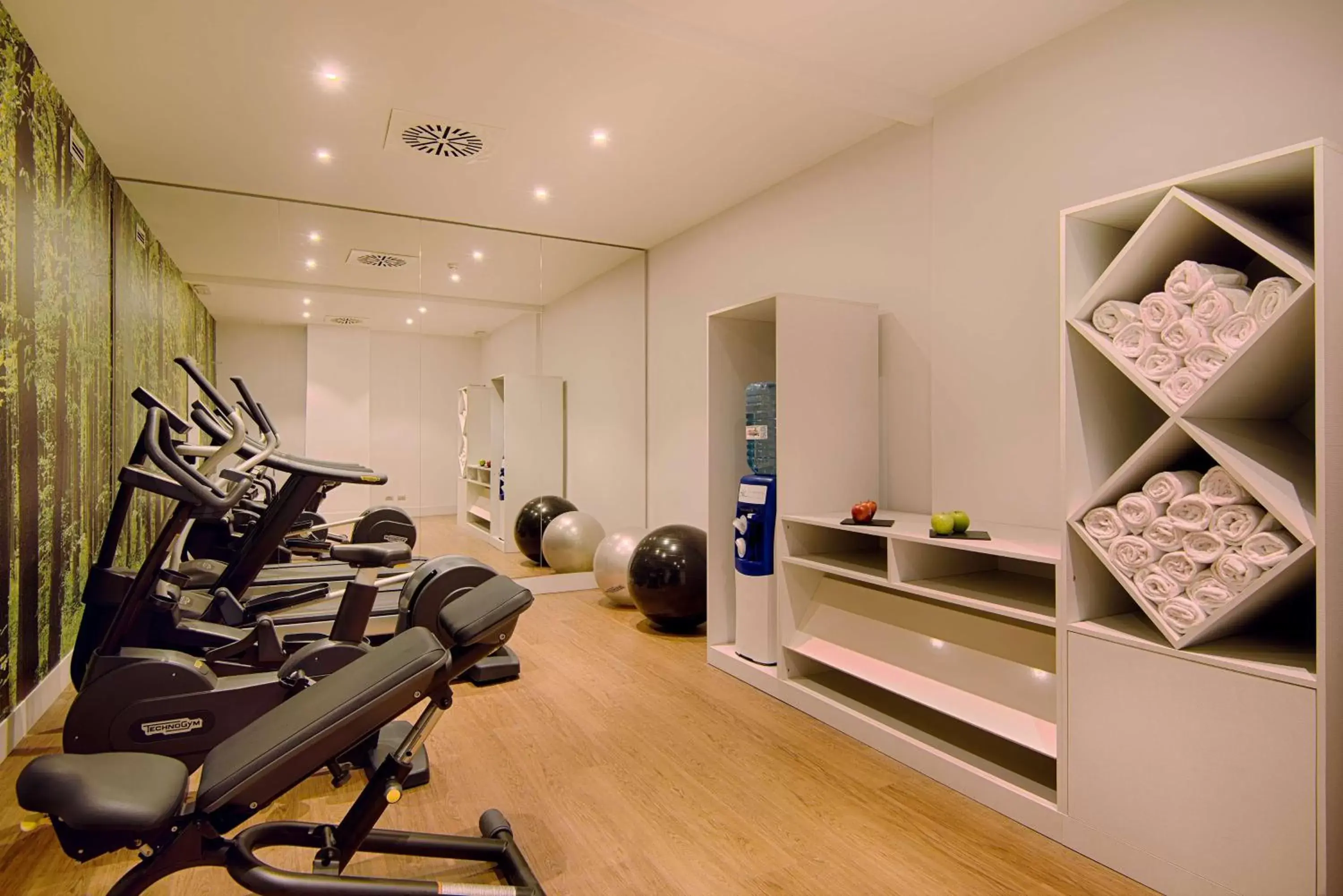 Fitness centre/facilities, Fitness Center/Facilities in NH Torino Centro