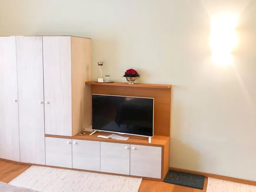 TV and multimedia in Die Schmiede