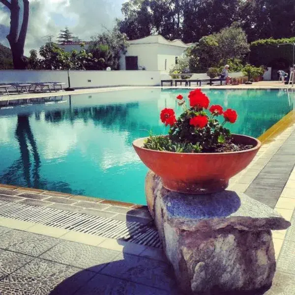 Swimming Pool in Hotel Al Bosco