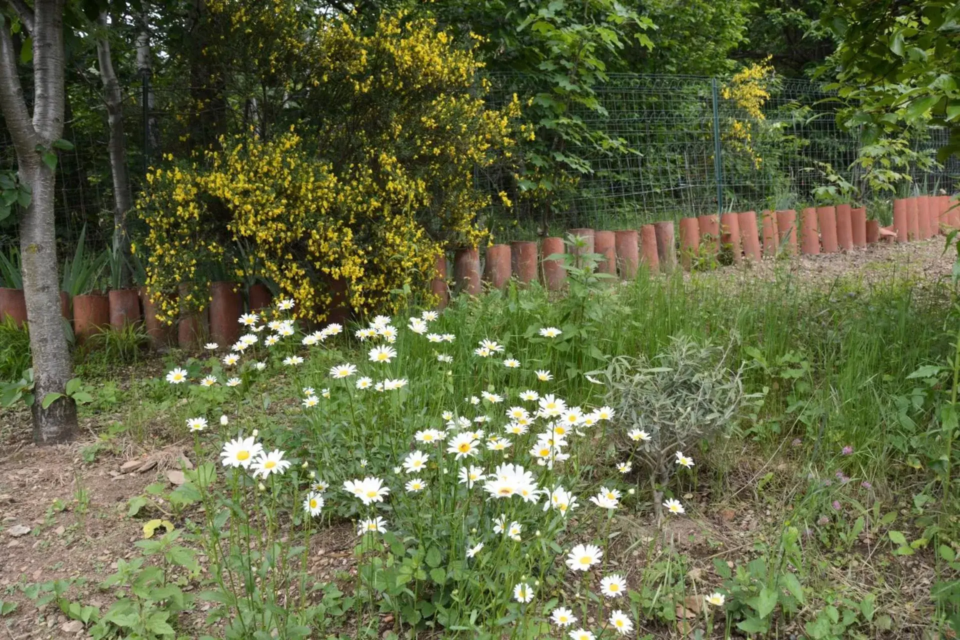 Garden in Casa Omnia B&B