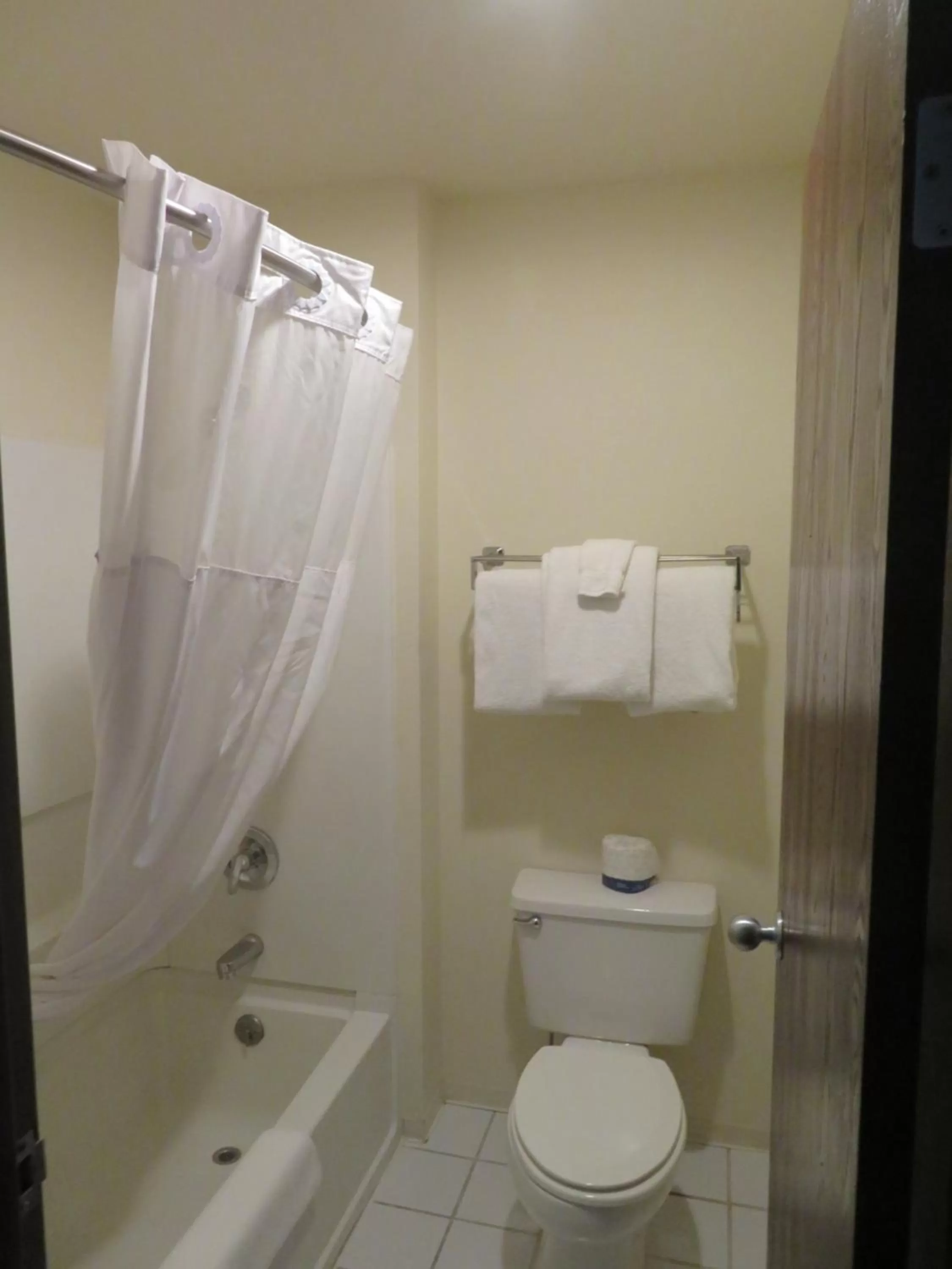 Bathroom in GreenTree Inn Montrose