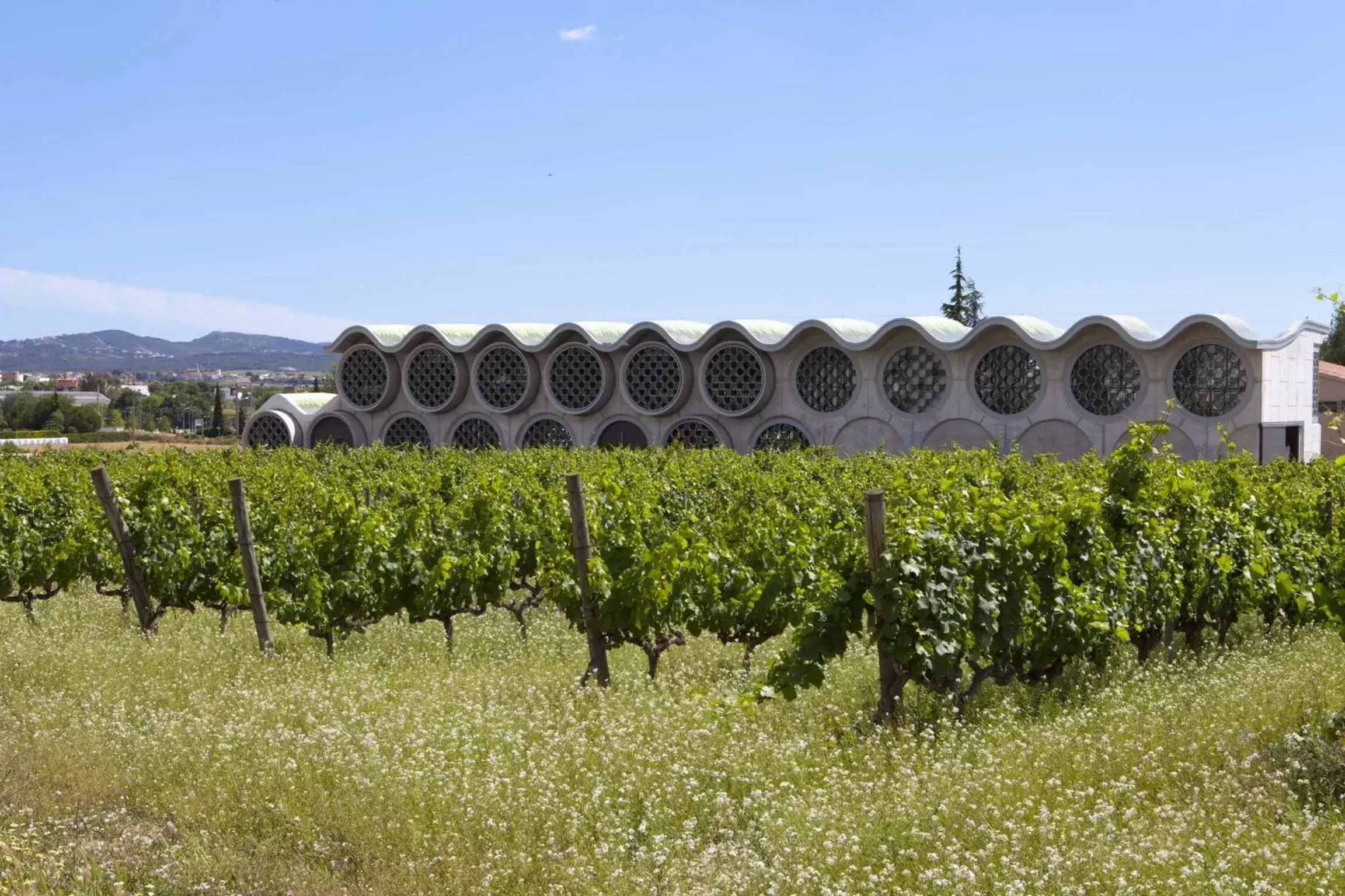 Garden view in Mastinell Cava & Boutique Hotel by Olivia Hotels Collection Garden view in Mastinell Cava & Boutique Hotel by Olivia Hotels Collection