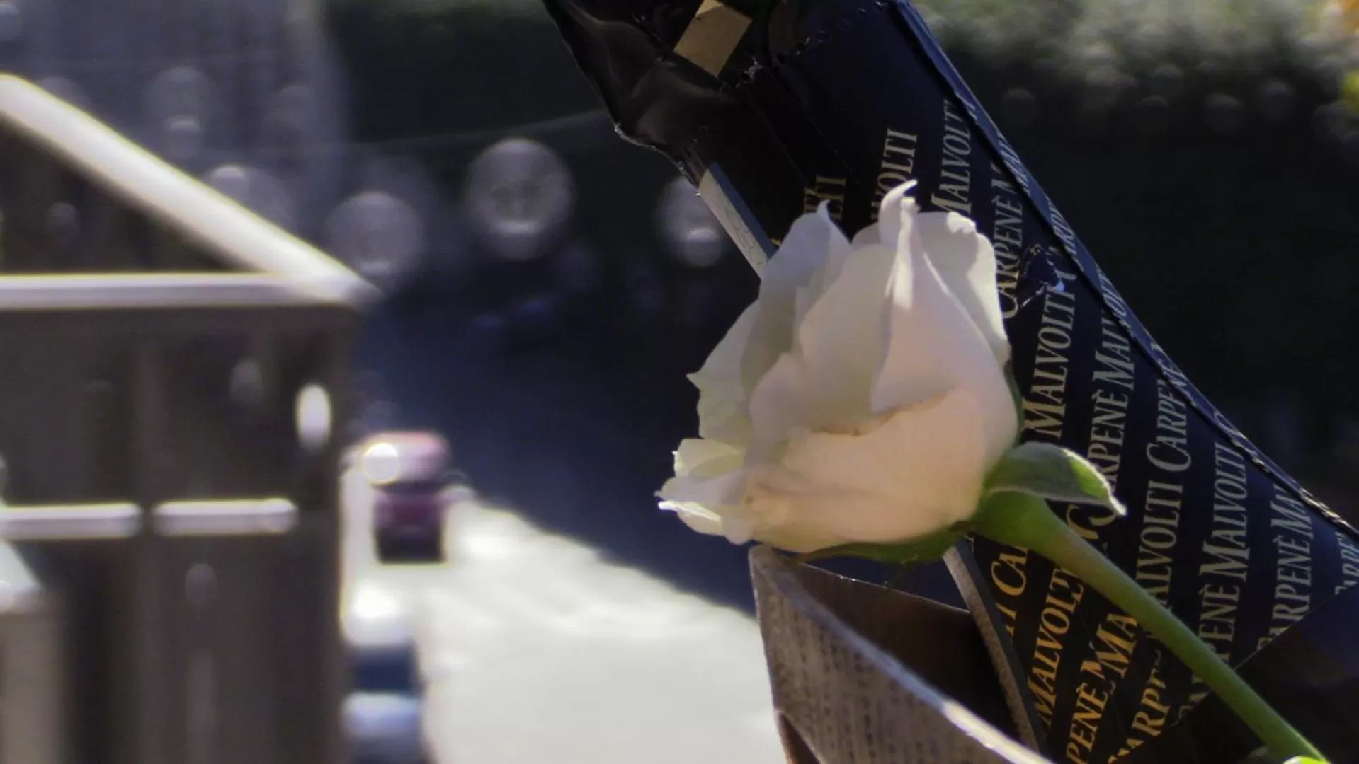 City view in Moonlight Hotel&Suites