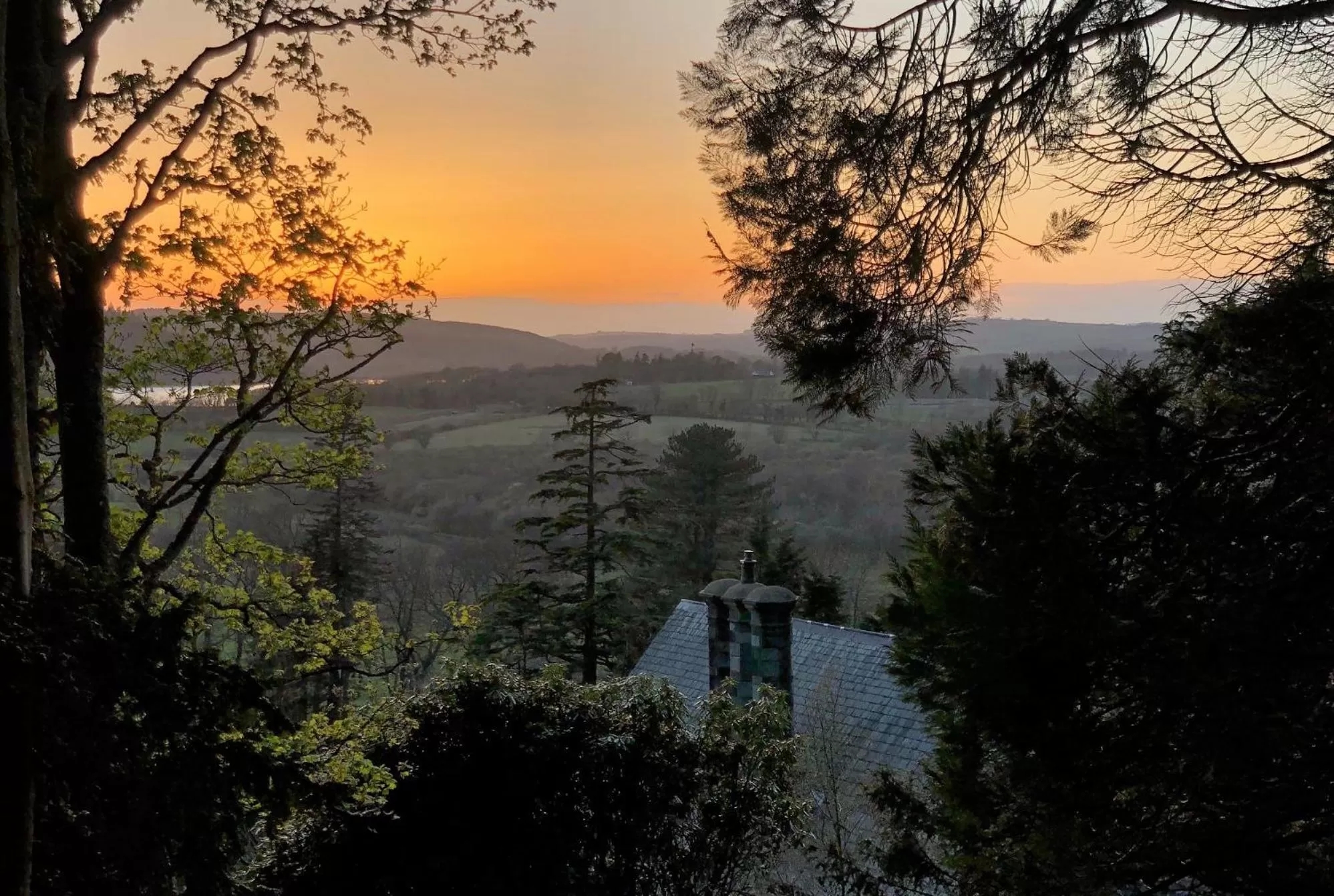 Garden in Ravenstone Manor