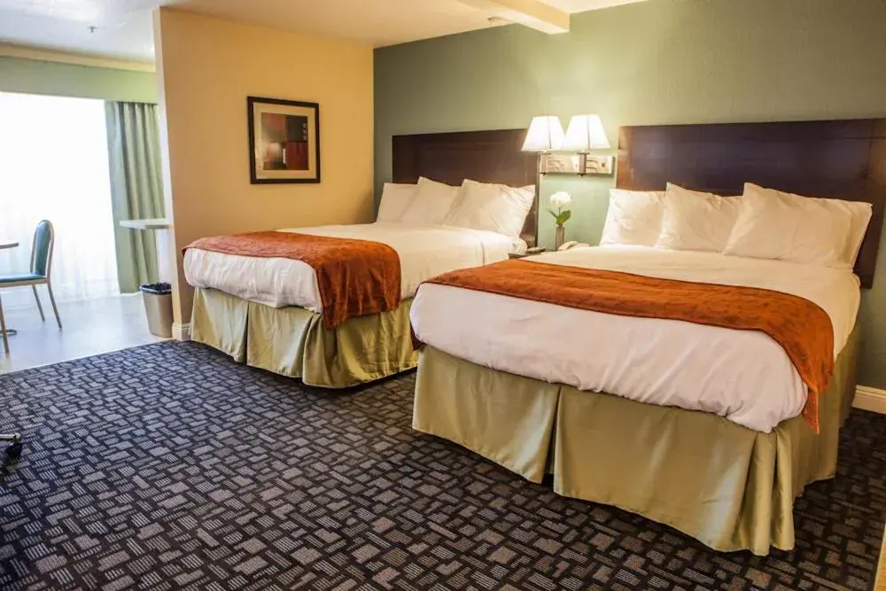 Queen Suite in Marinwood Inn & Suites