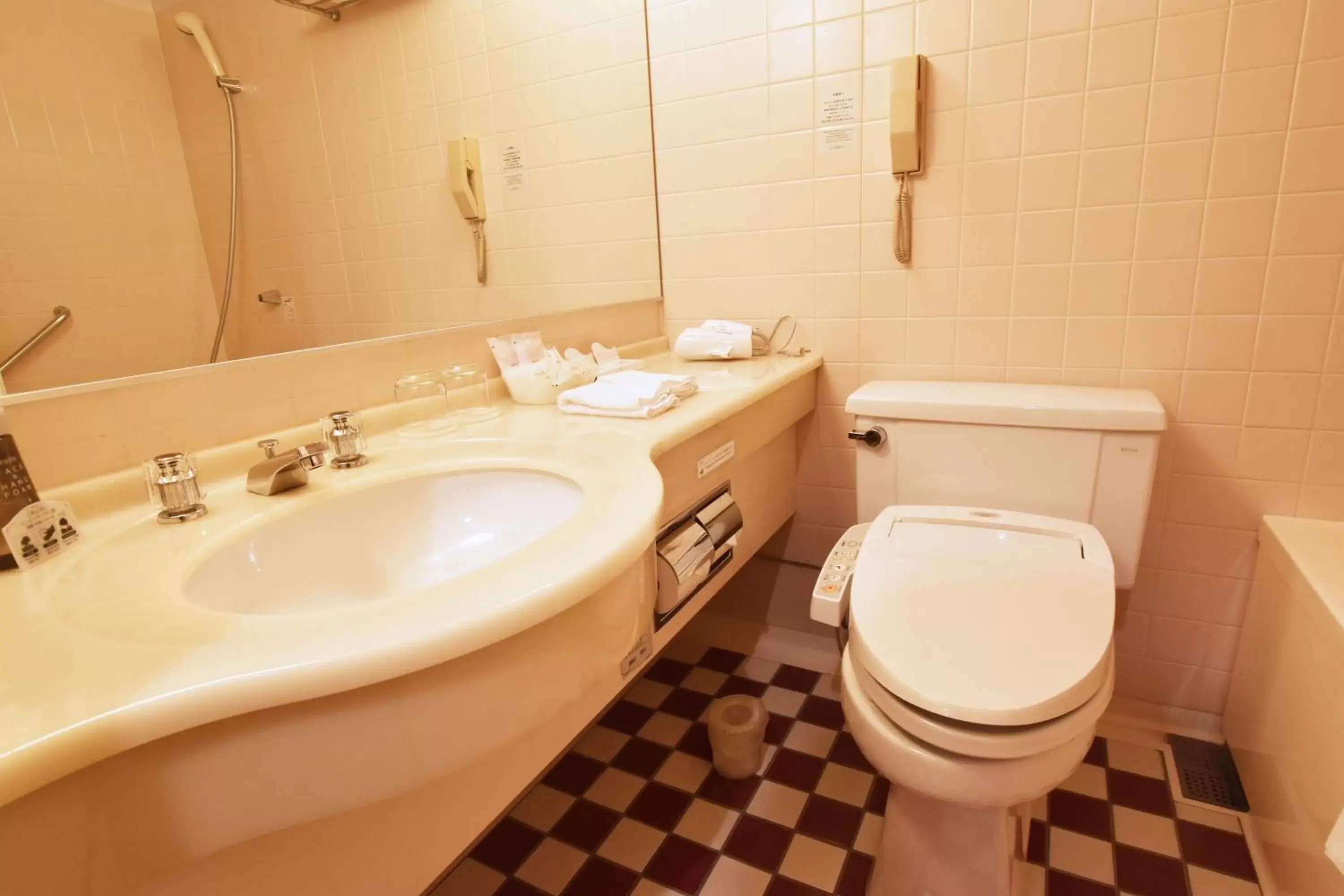 Photo of the whole room, Bathroom in Hotel Nikko Tsukuba