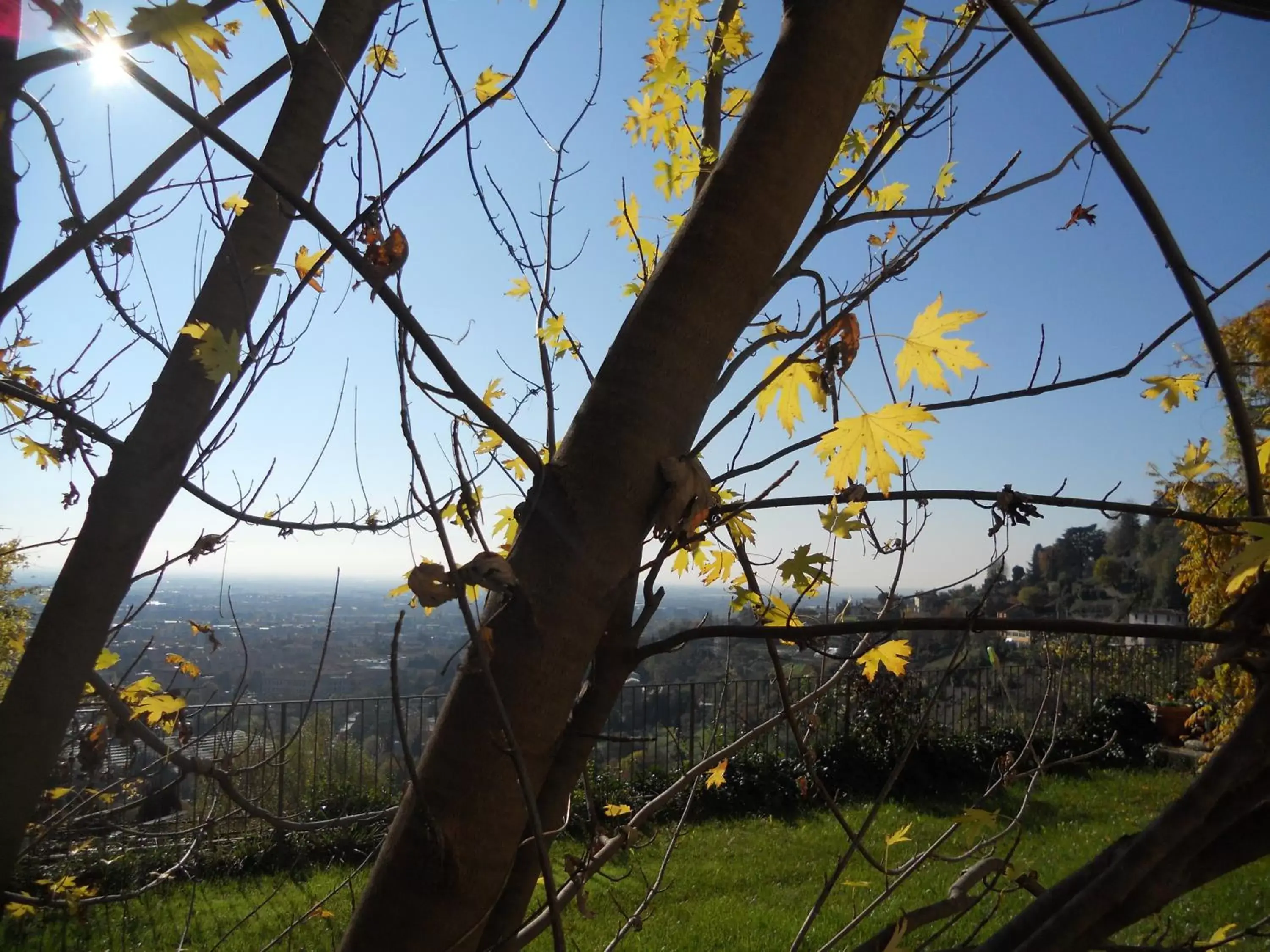 View (from property/room) in Bed & Breakfast Sant'Erasmo