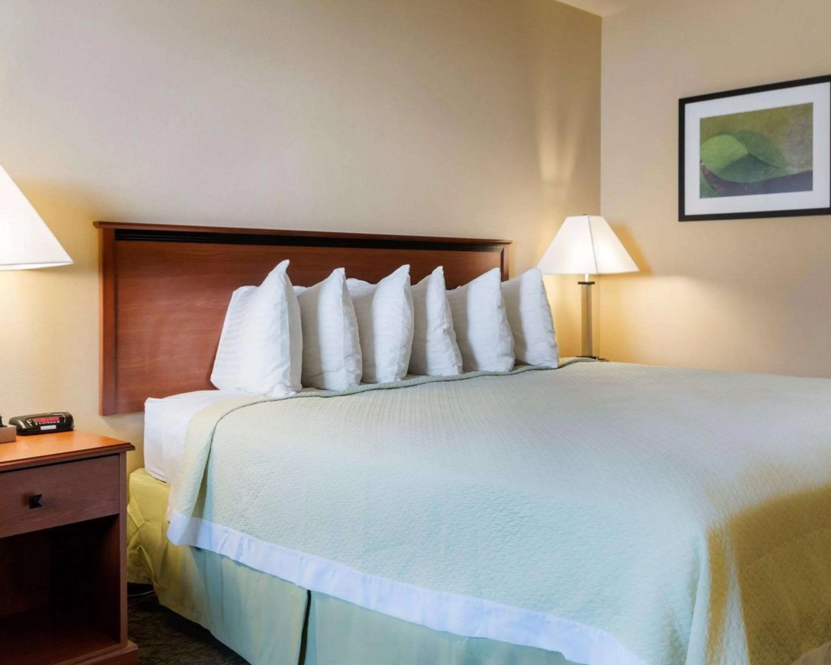 On site, Bed in Rodeway Inn of Junction