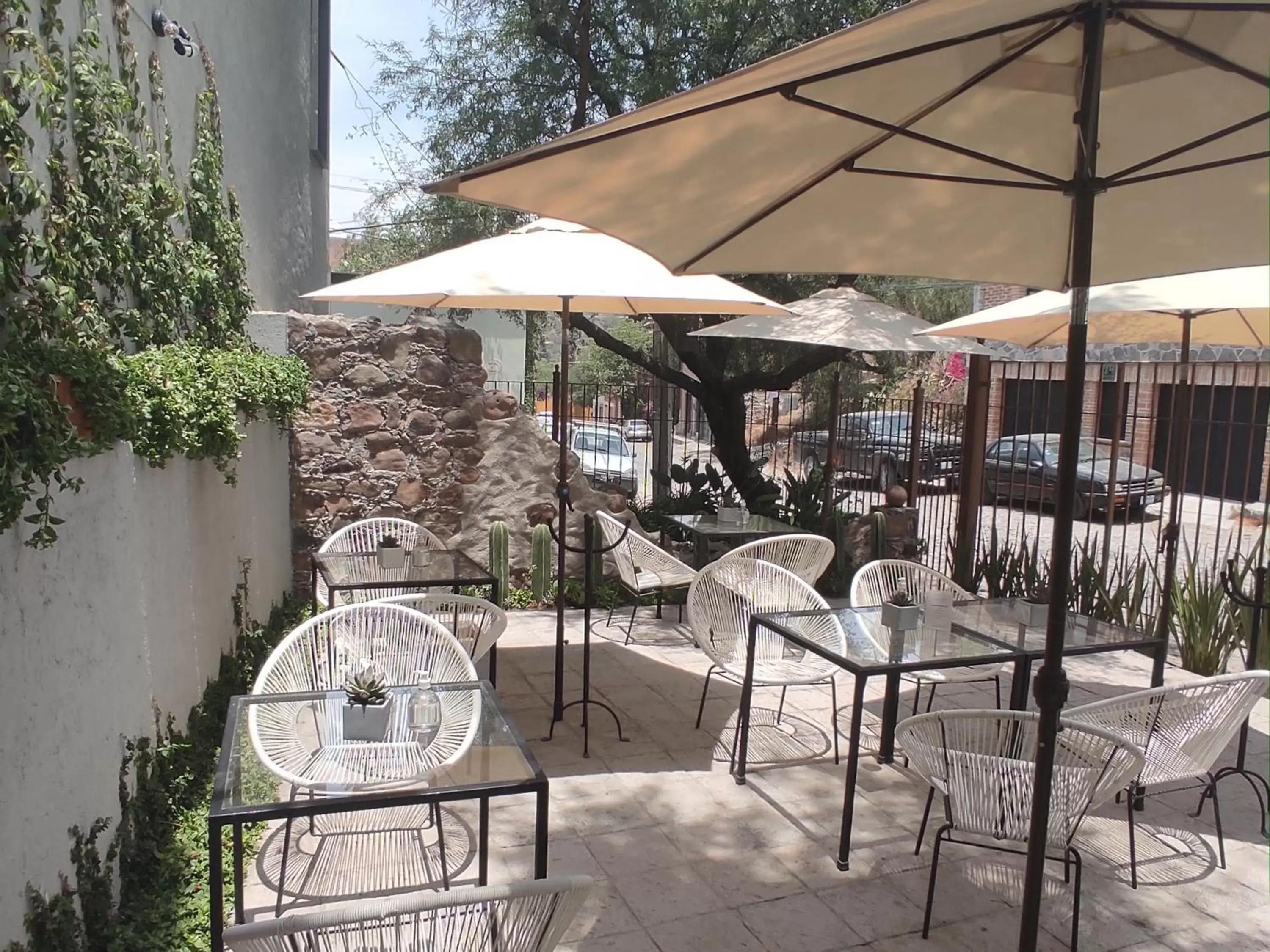 Patio, Patio/Outdoor Area in Casa Goyri San Miguel de Allende