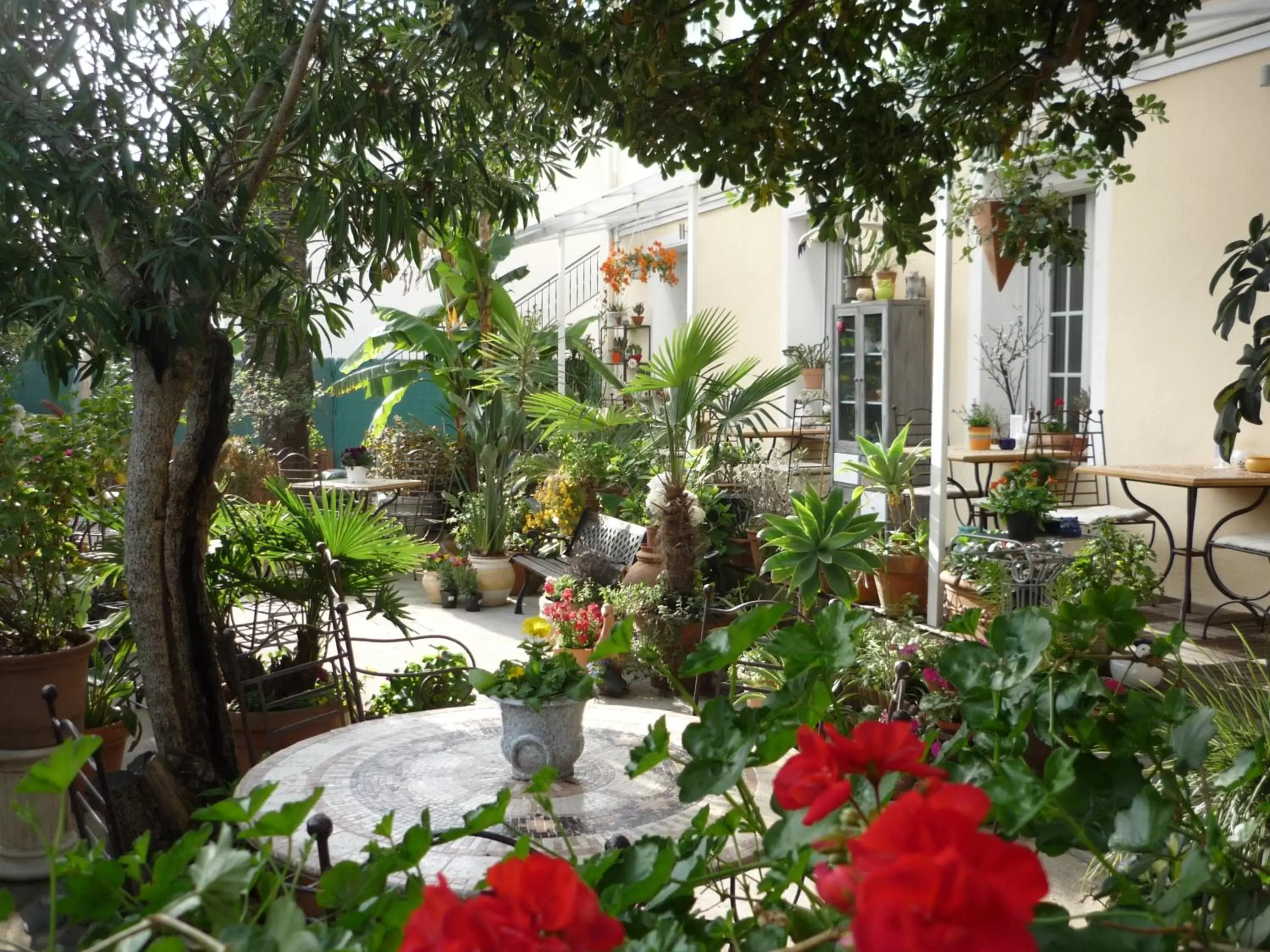 Garden in Logis Hôtel Villa Victorine