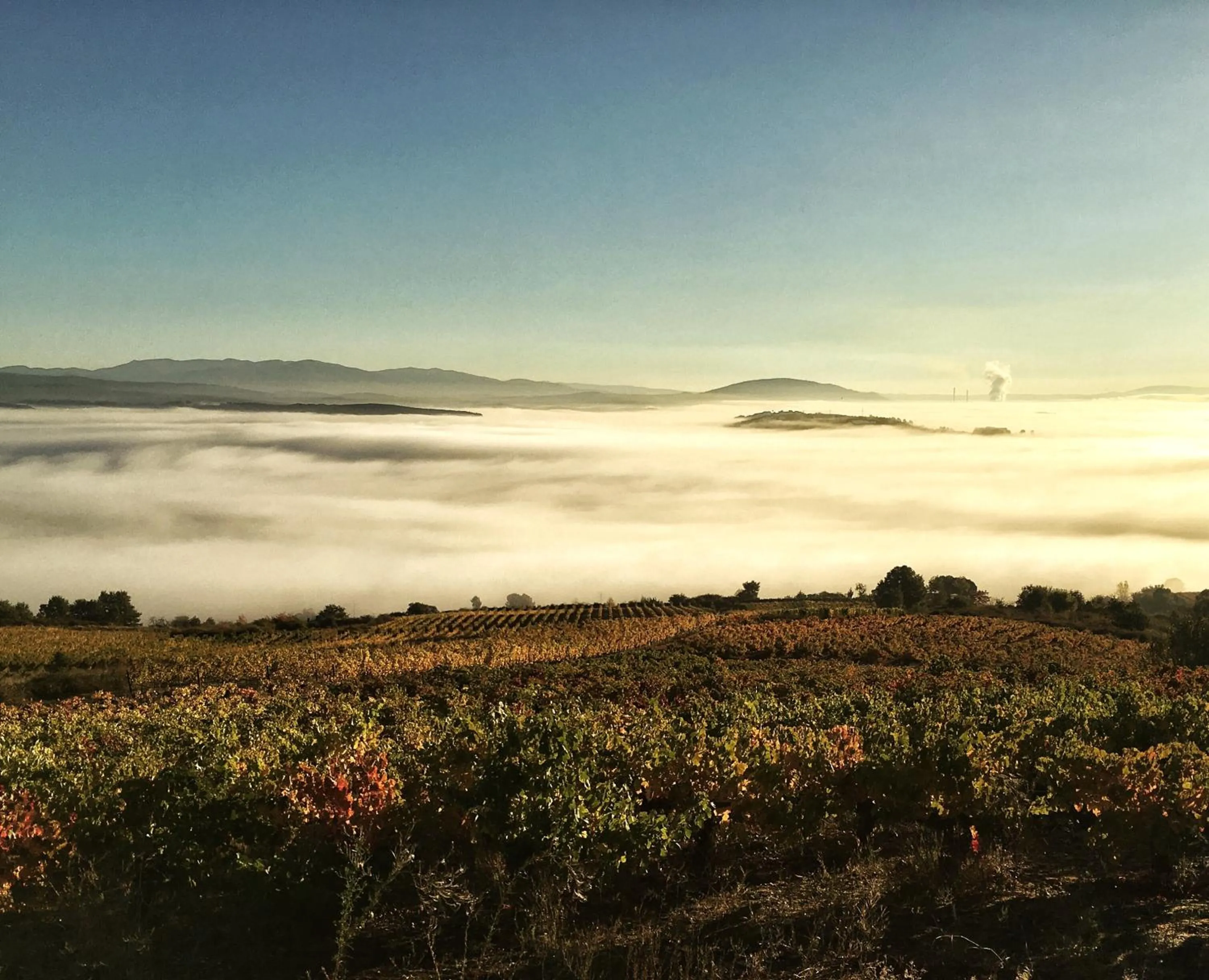 Las Doñas del Portazgo