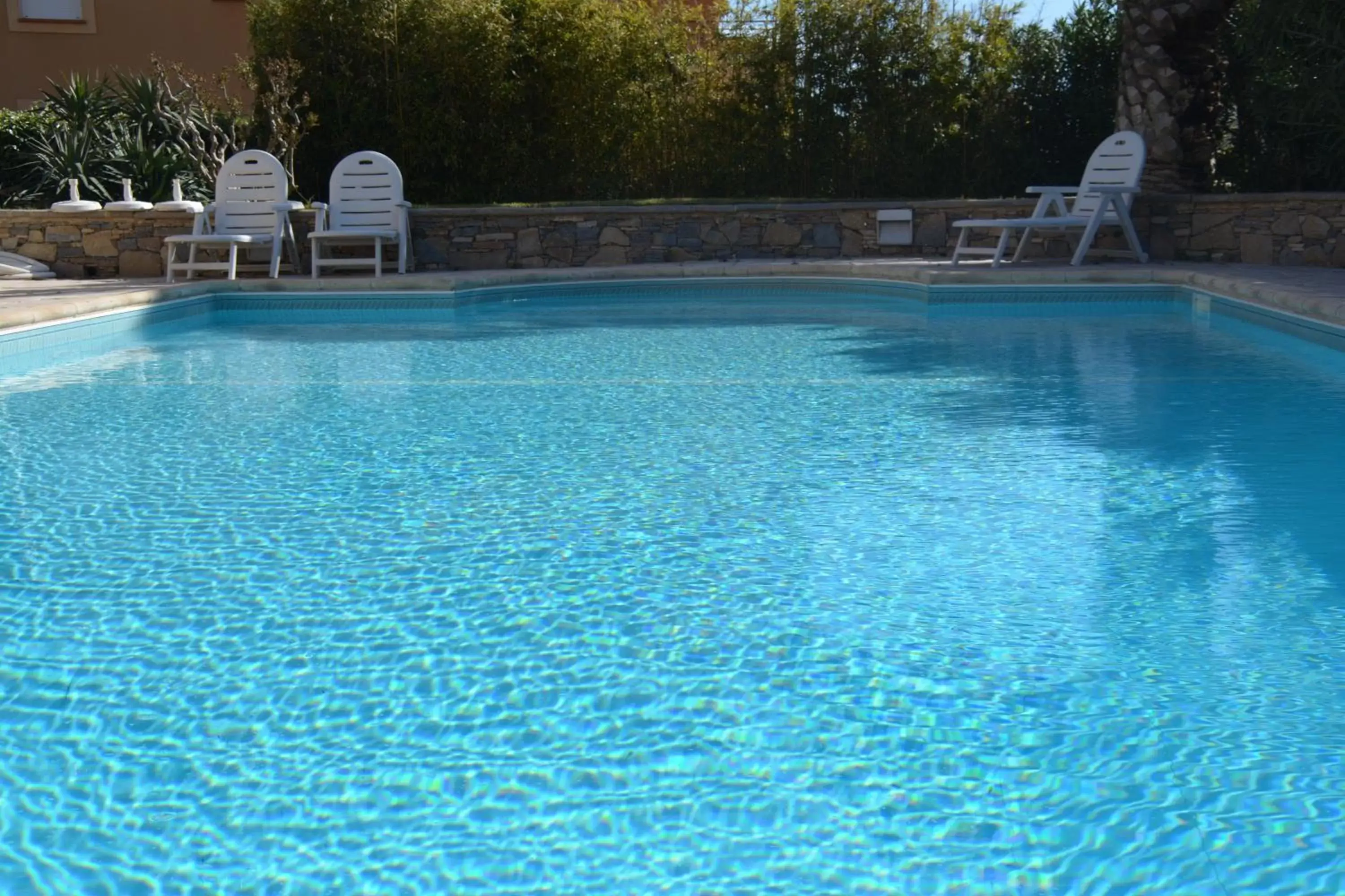 Swimming Pool in Hotel Albizzia