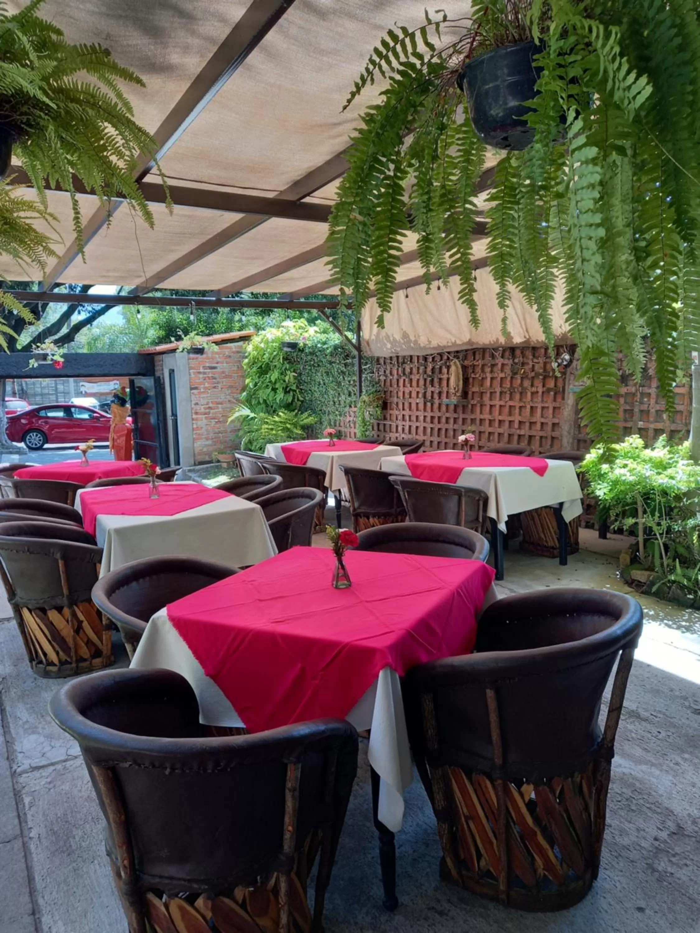 Restaurant/places to eat in Toca Madera