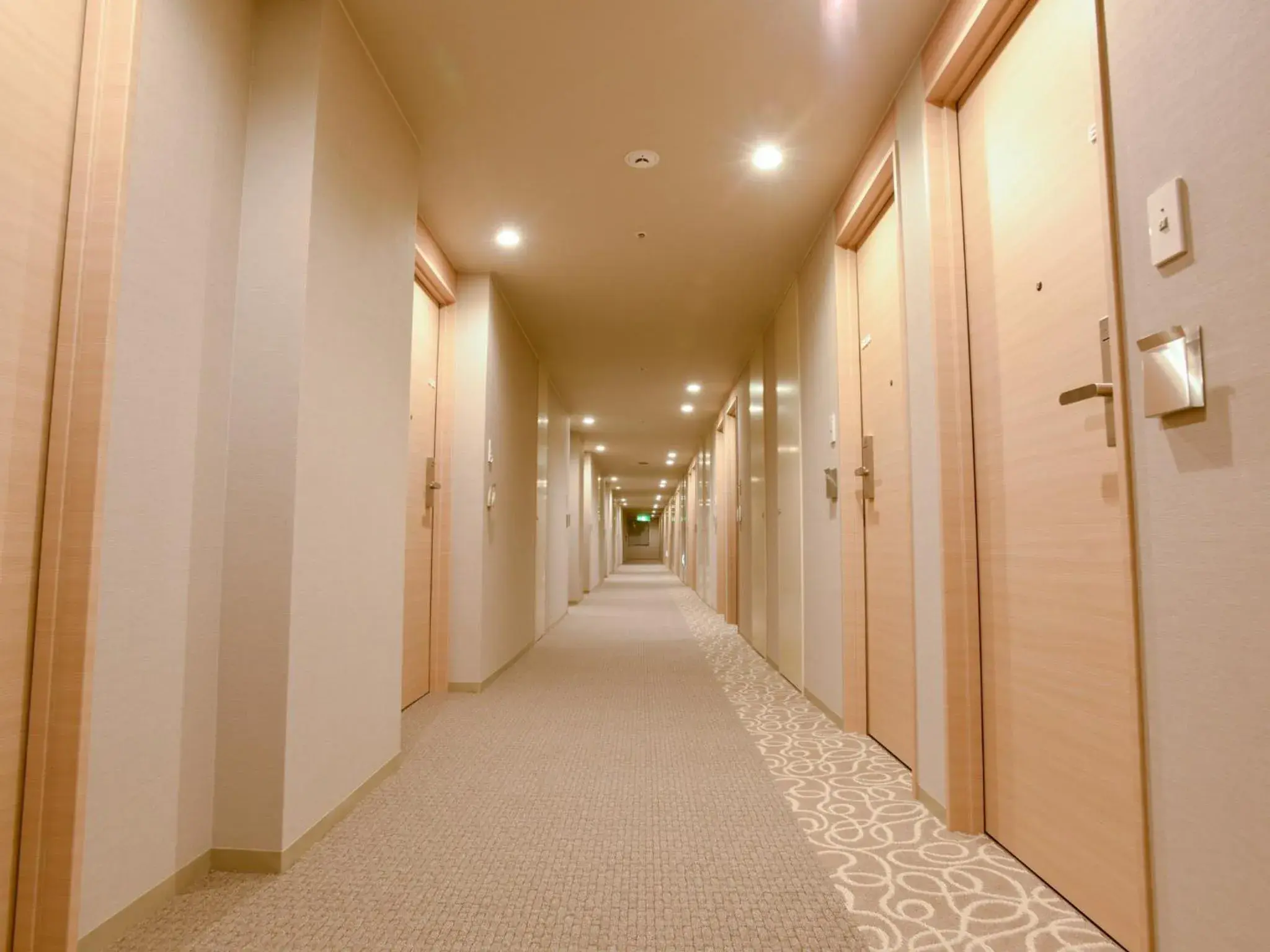 Area and facilities in Hotel Buena Vista