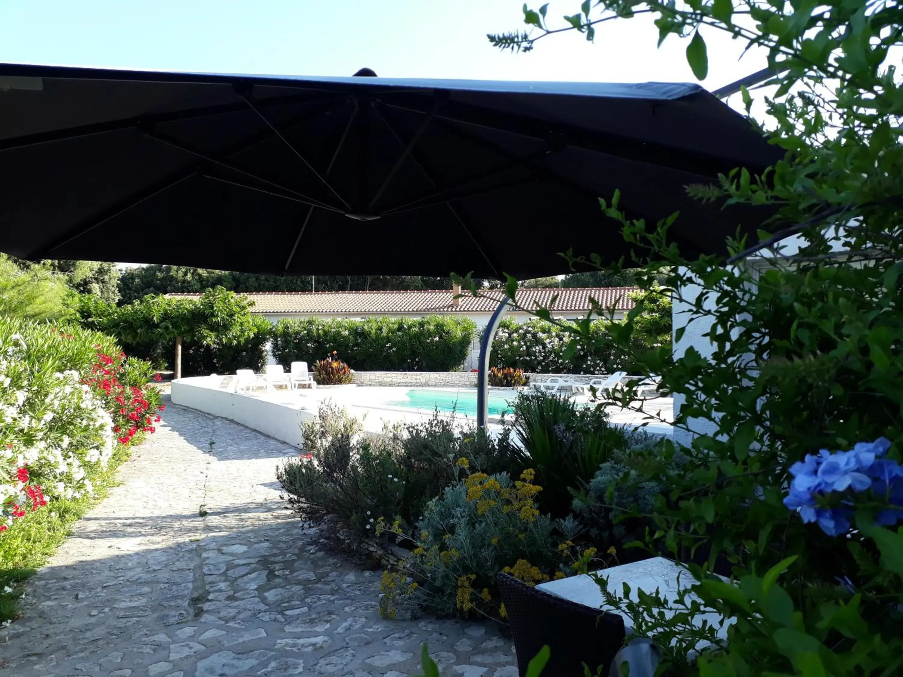 Pool view in Hôtel Padolo