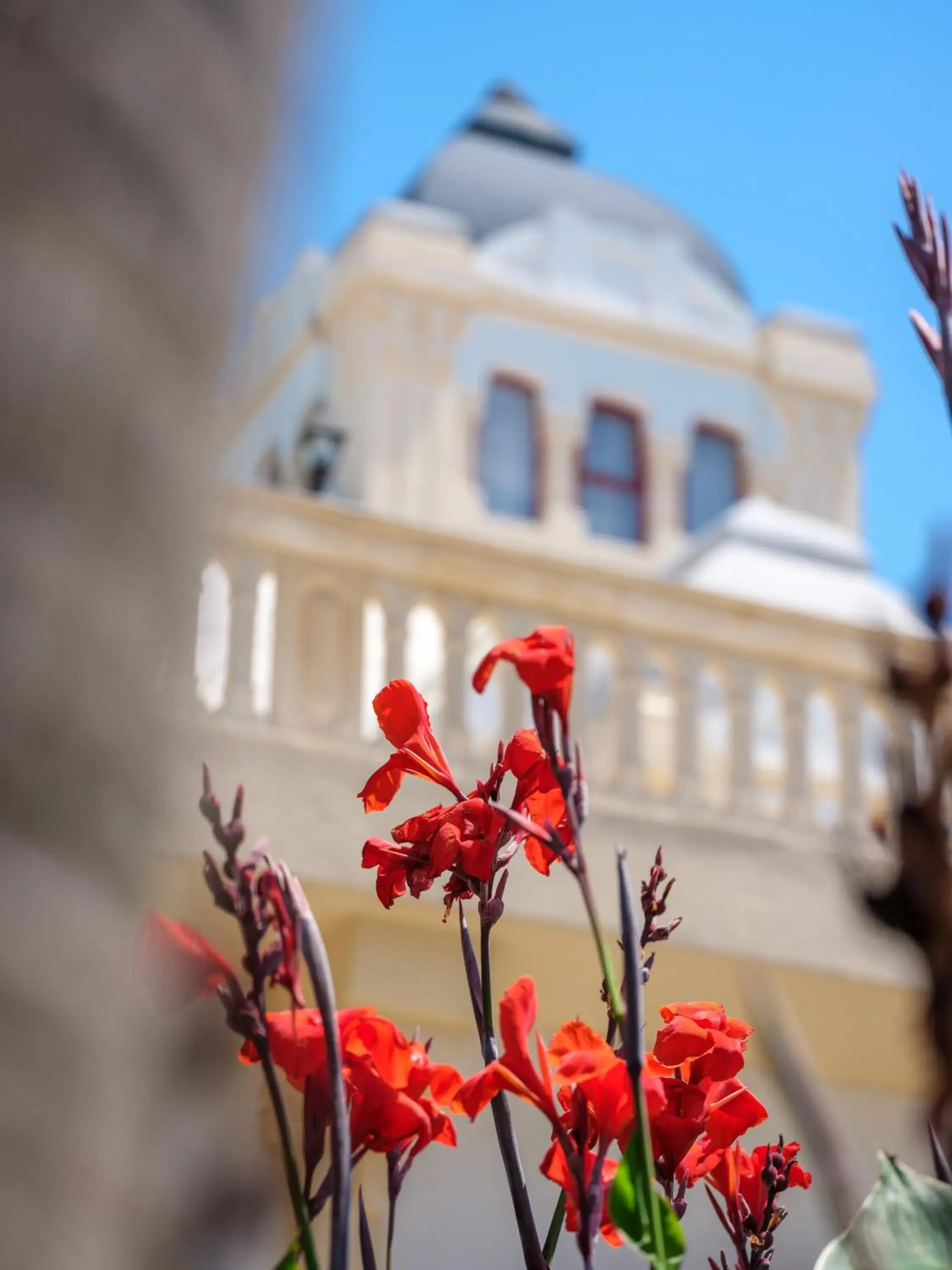 Facade/entrance, Property Building in Hotel Ciutat Jardi