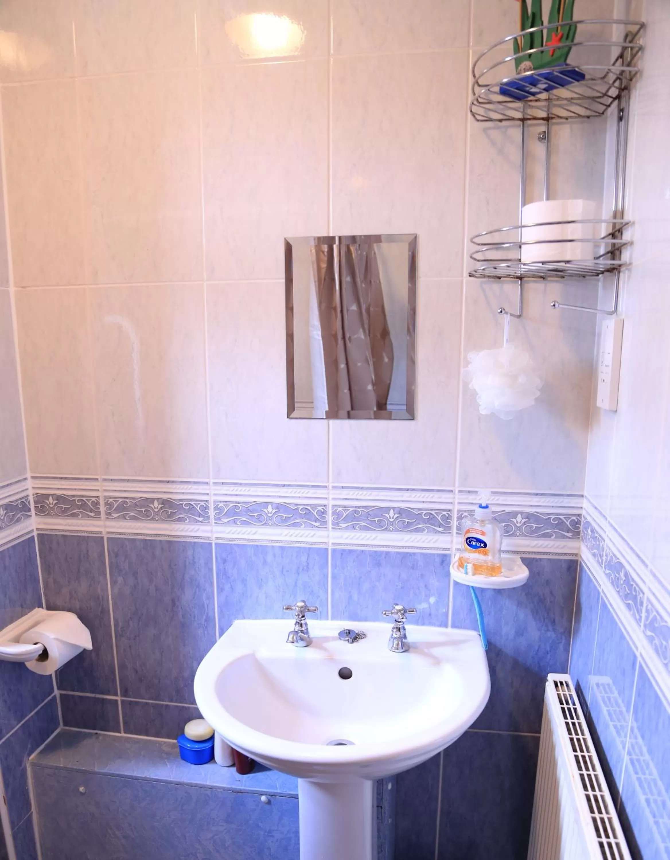 Decorative detail in Twin Lions Hotel