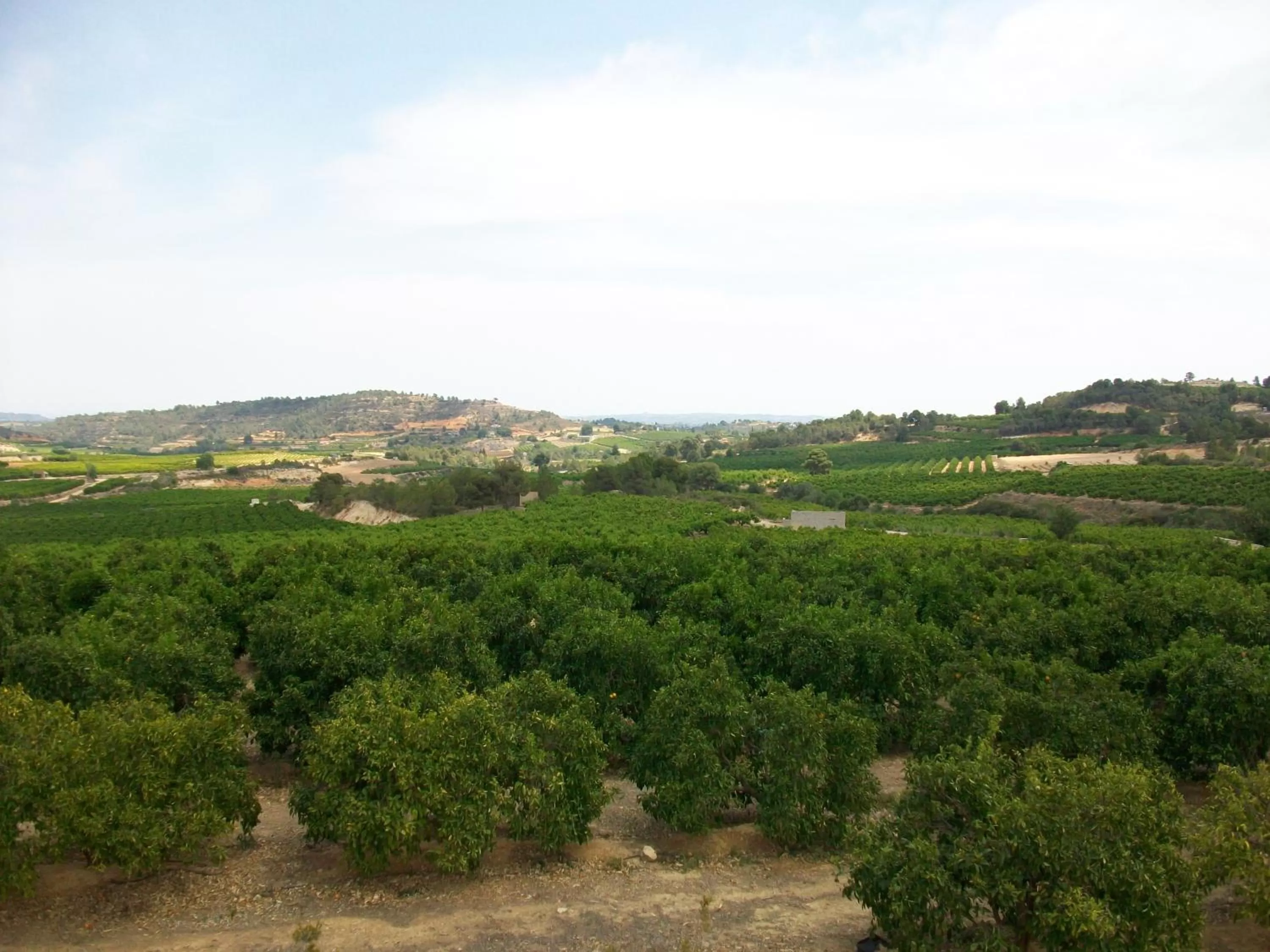 View (from property/room) in Casa Robion