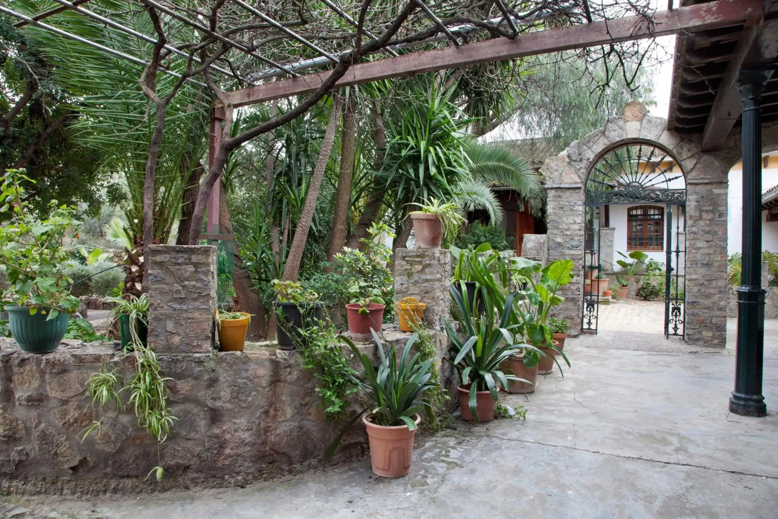 Garden in Hostal El Cortijo
