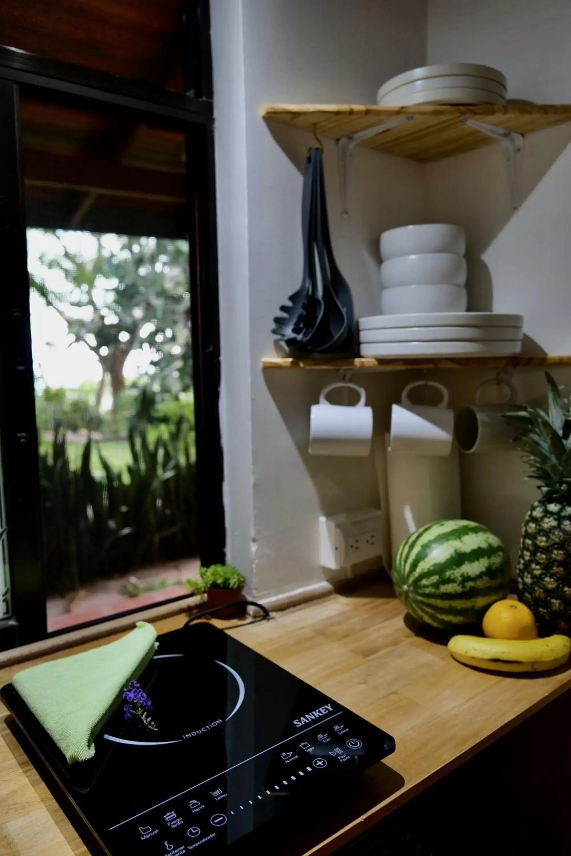 Kitchen/Kitchenette in El Mirador Glamping & Apartments & Woodhouse & Swimingpool