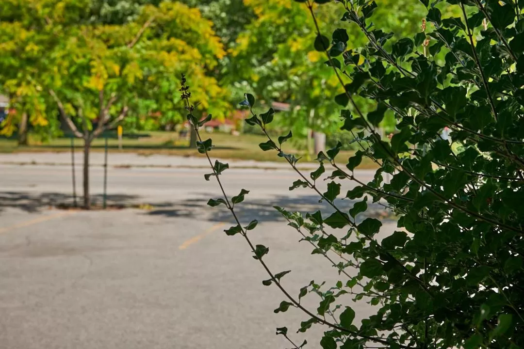 Seasons in Samuels Boutique Hotel