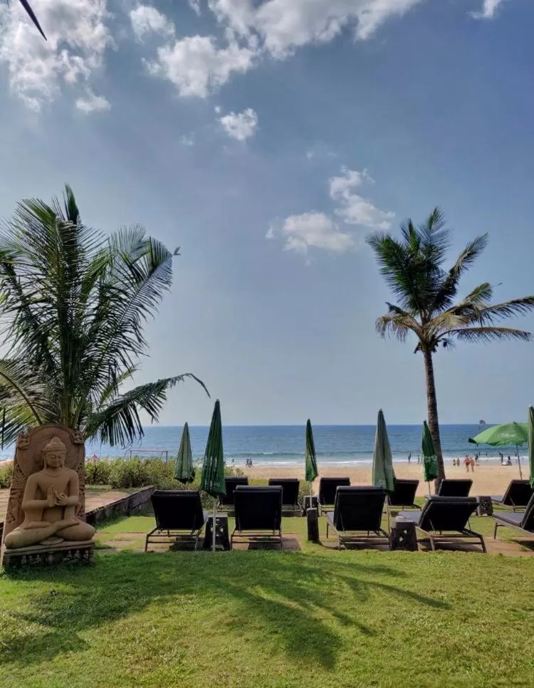 Garden in Chalston Beach Resort