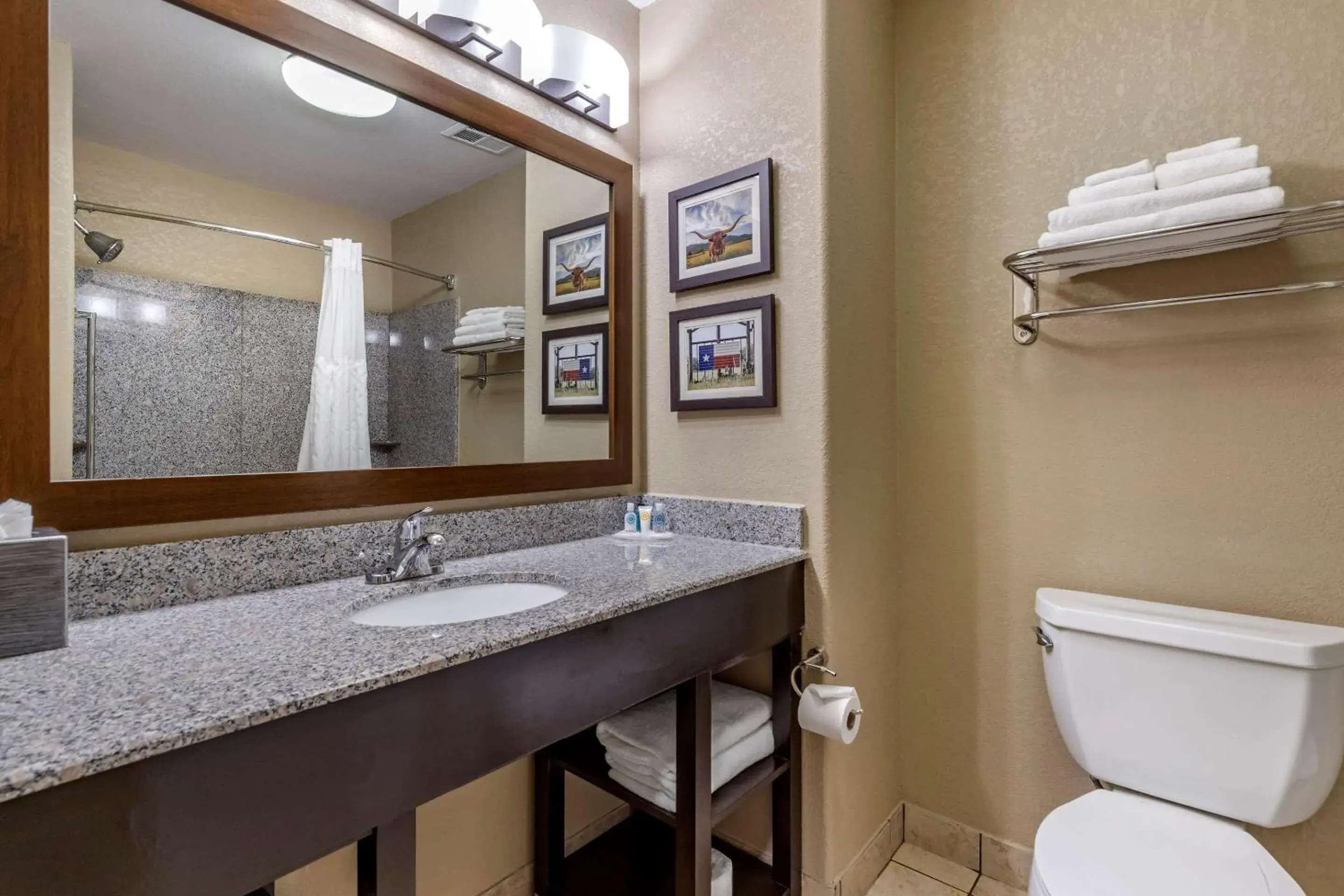 Photo of the whole room, Bathroom in Comfort Suites Georgetown