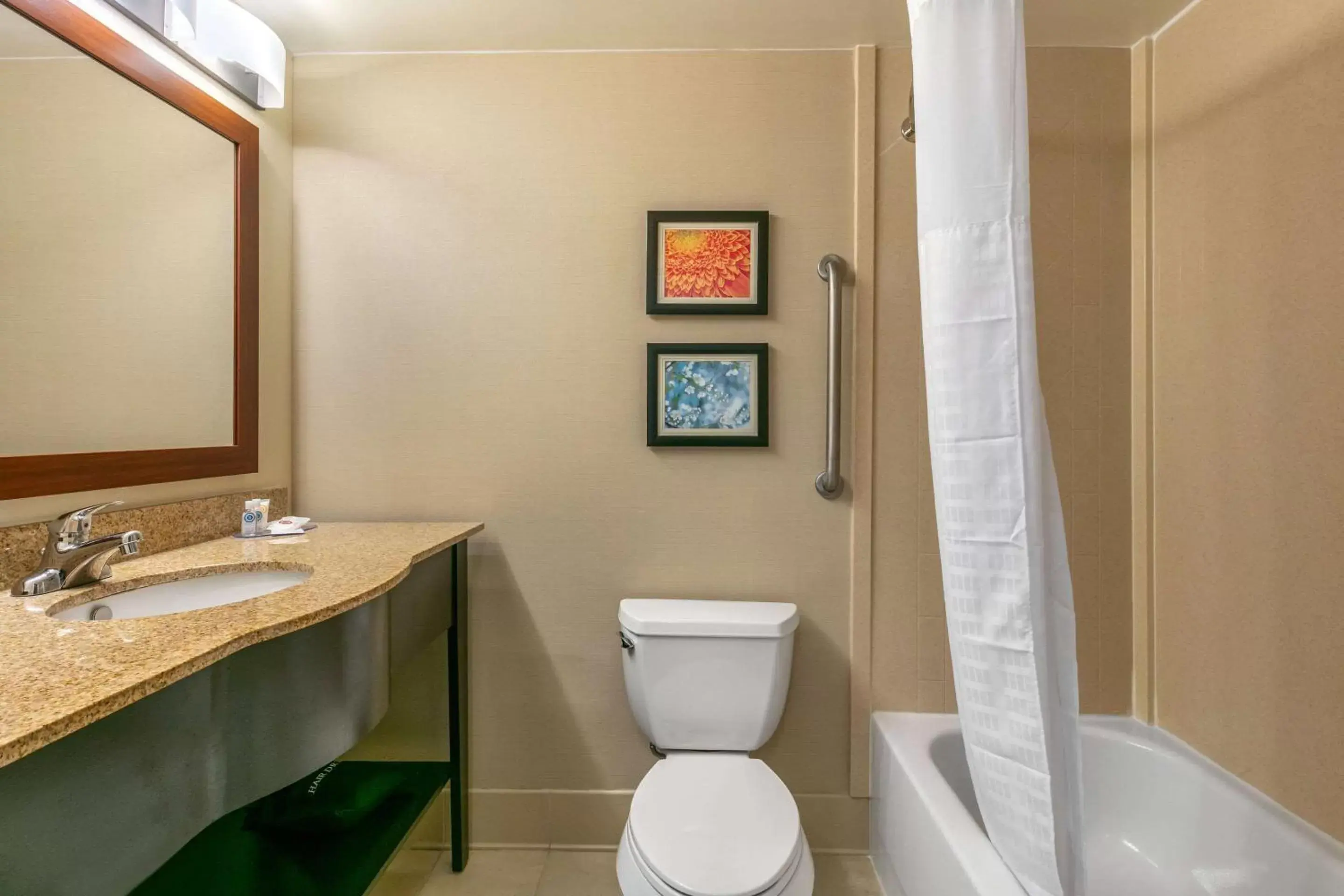 Bathroom in Comfort Inn & Suites Nashville Franklin Cool Springs