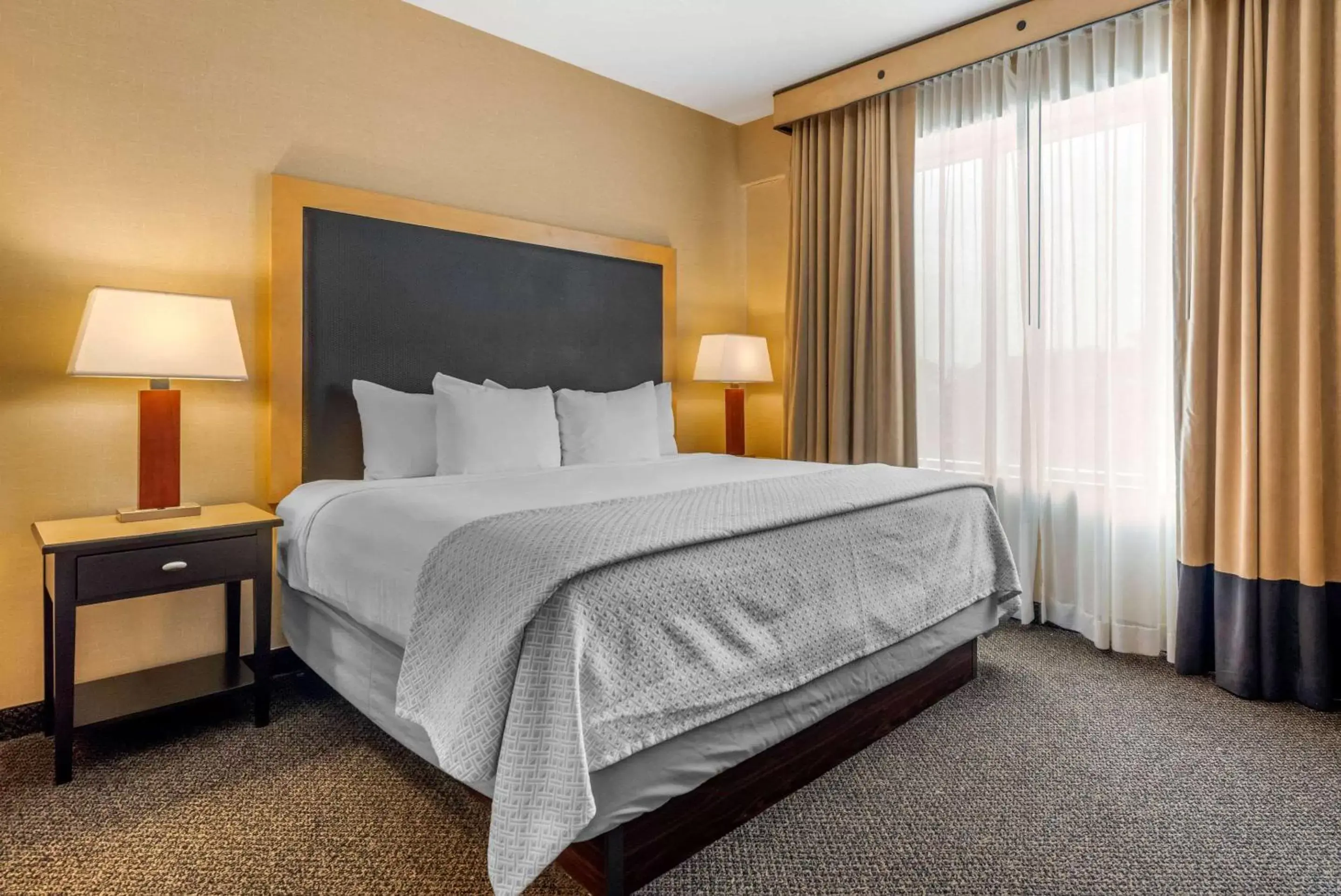 Photo of the whole room, Bed in Cambria Hotel Akron - Canton Airport