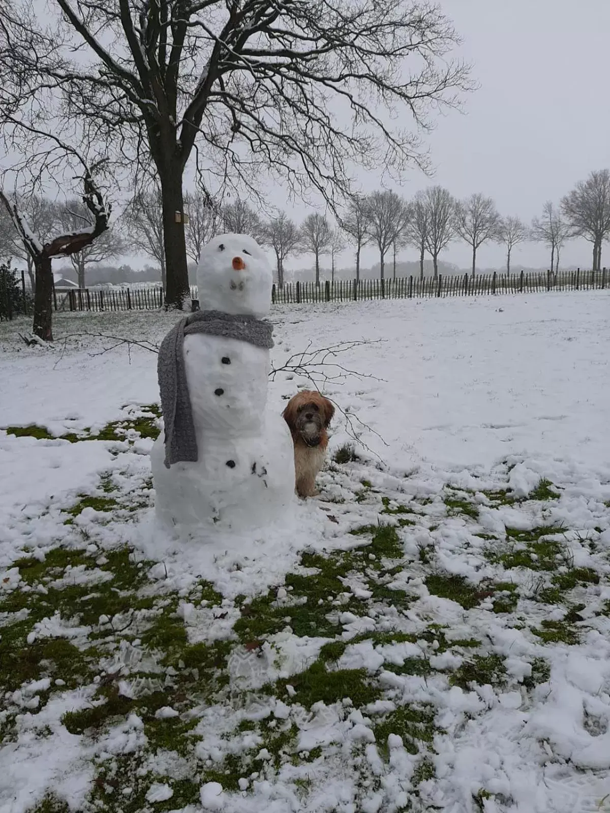 Winter in 't Rond Bargie