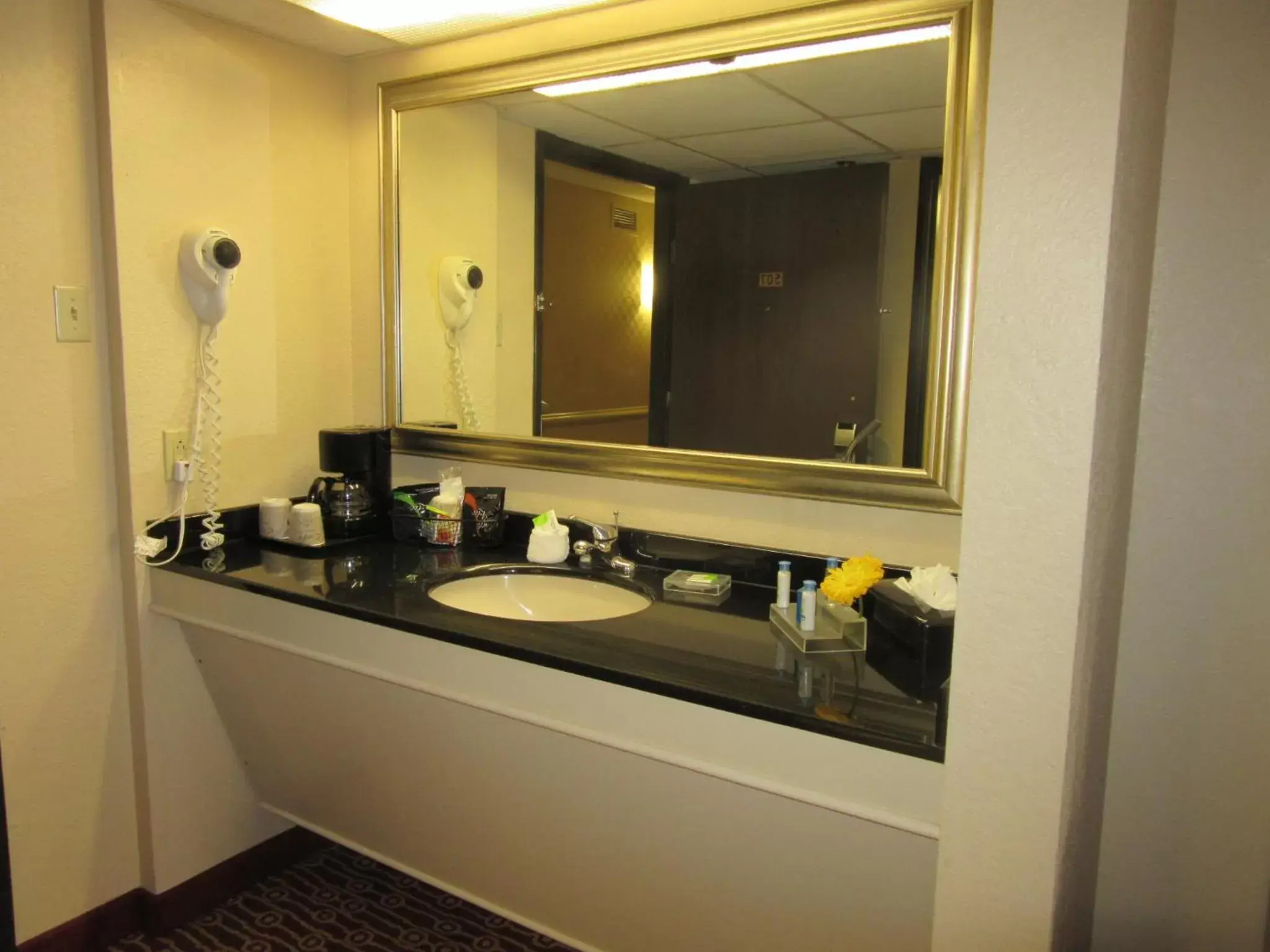 Bathroom in Atrium Hotel and Suites DFW Airport